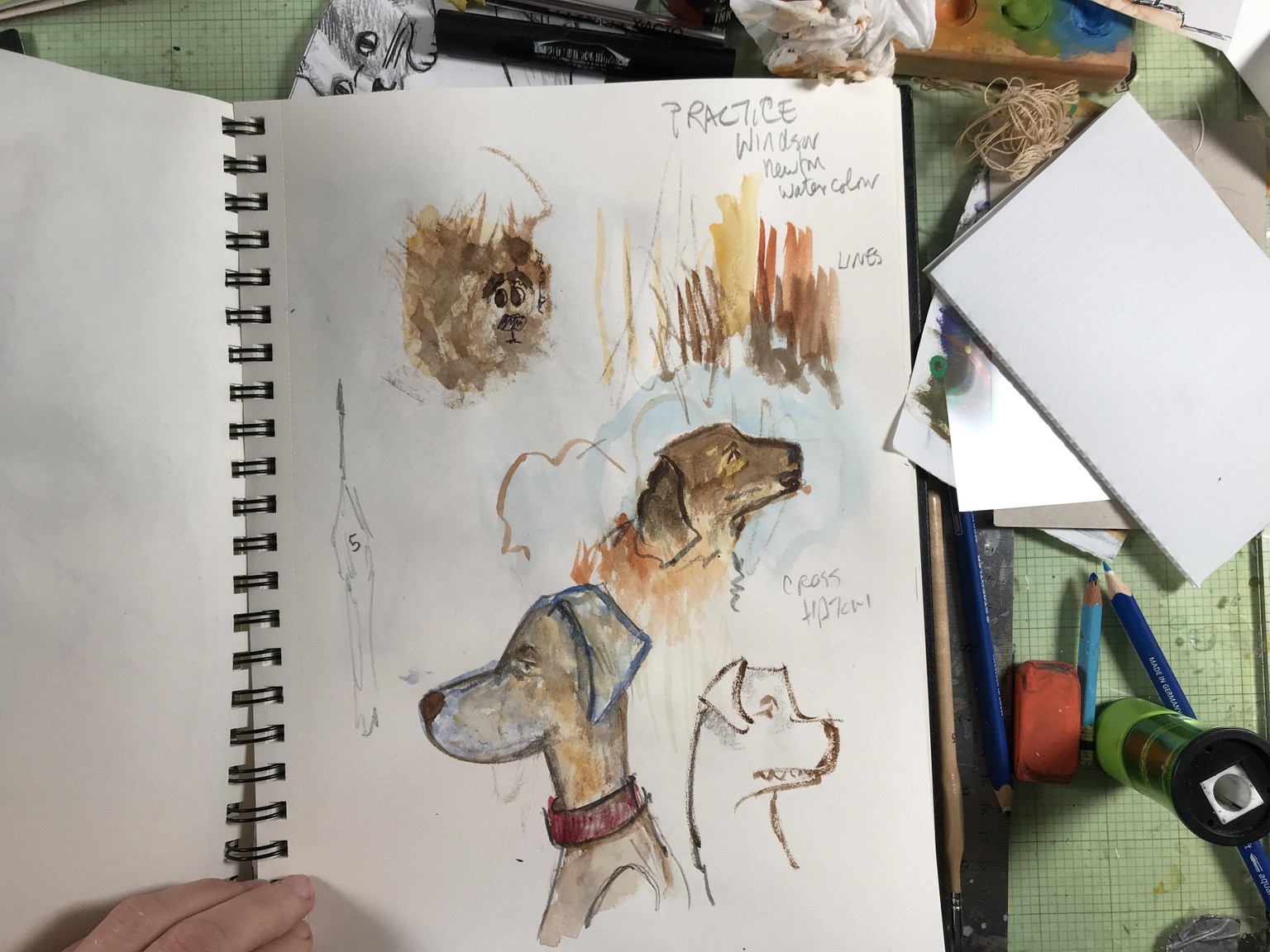 Dog gone it! - image 3 - student project