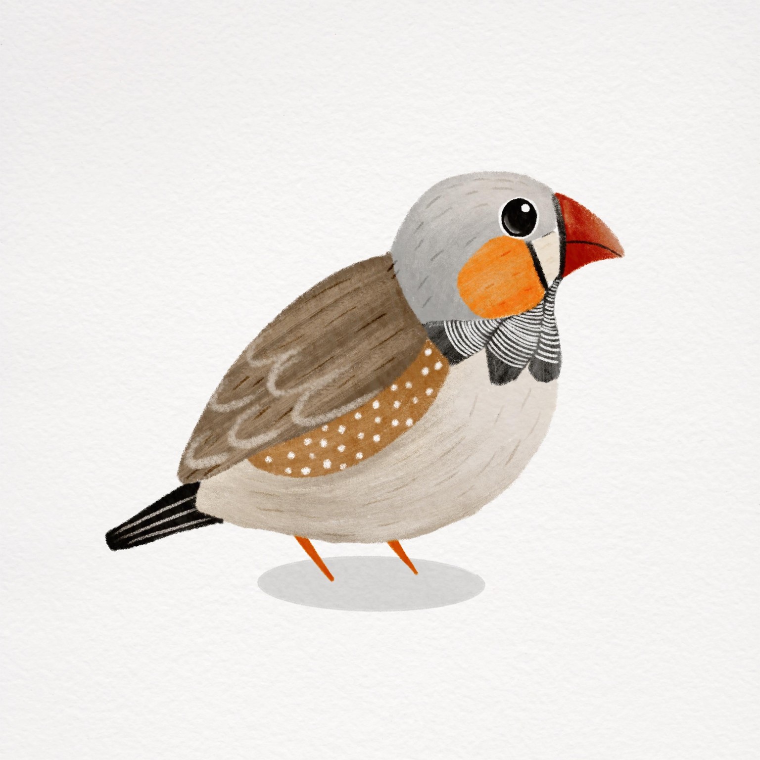 My birds - image 1 - student project
