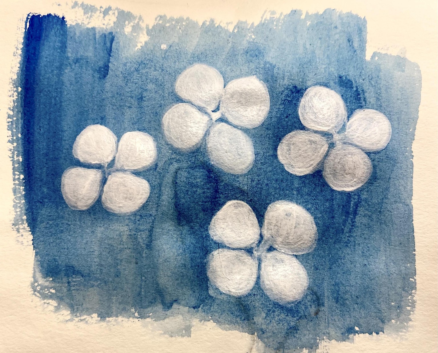 Cyanotype and Faux Cyanotype - image 2 - student project