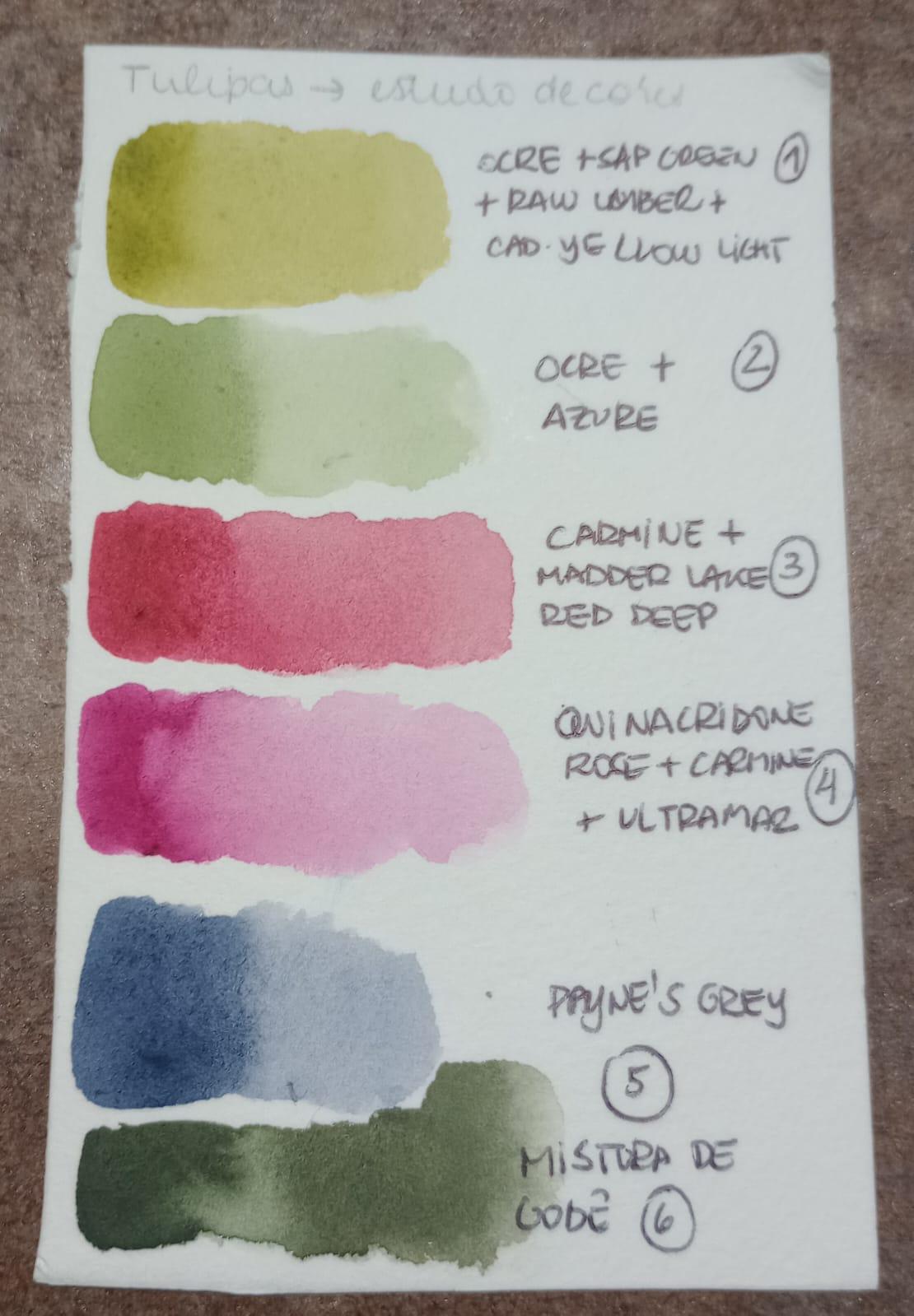 TULIPAS EM AQUARELA - image 1 - student project