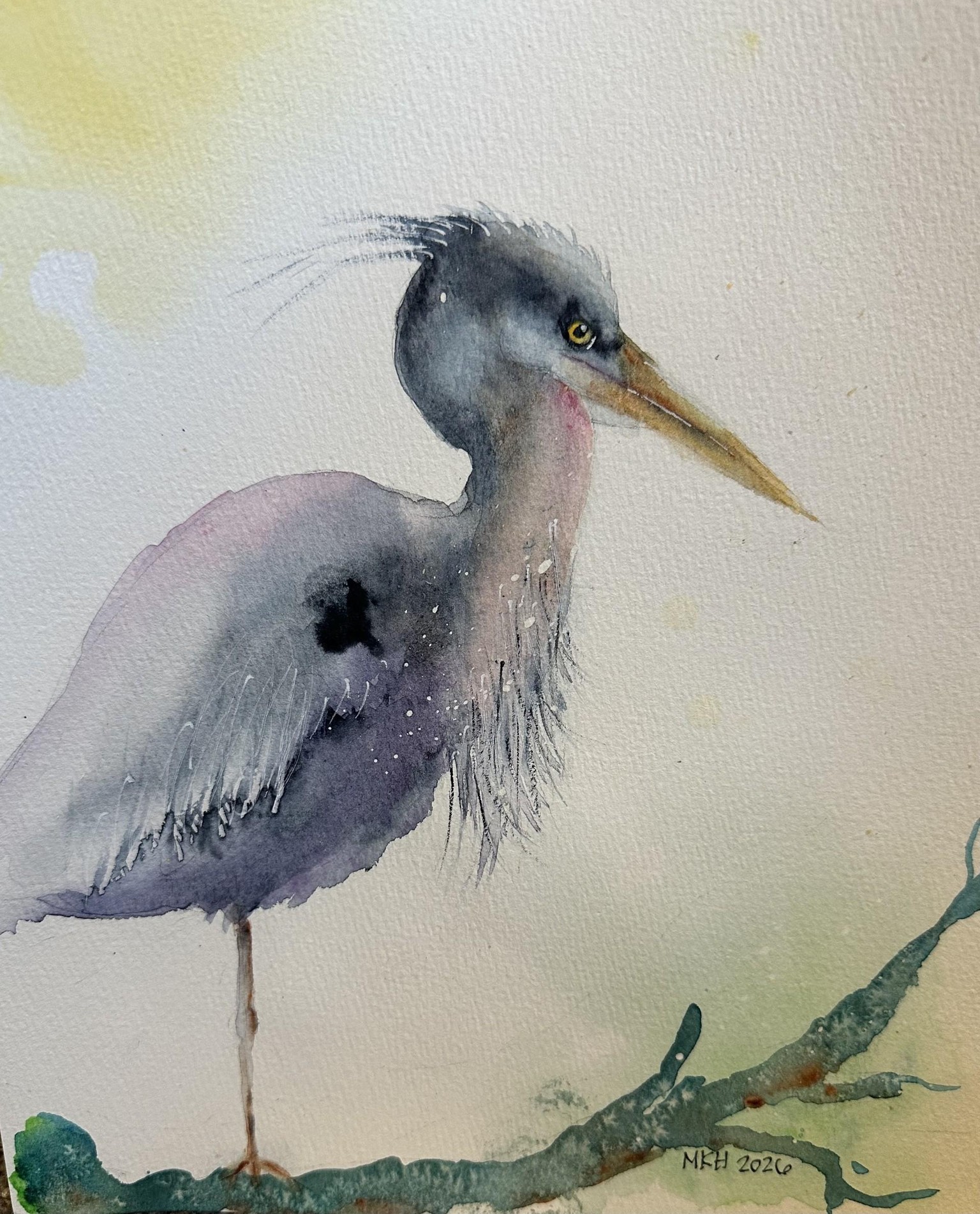 Heron - image 1 - student project