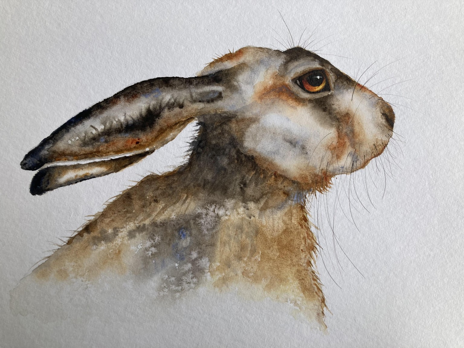 Autumn Hare - image 1 - student project
