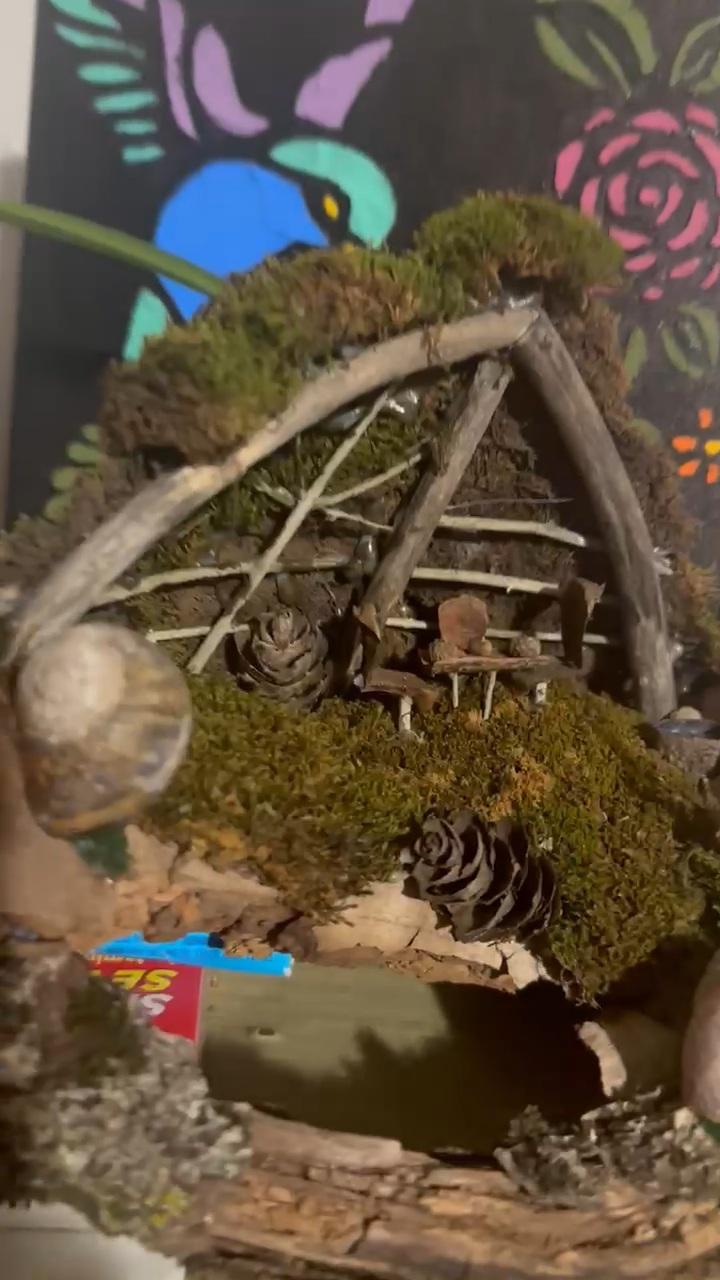 my fairy garden - image 1 - student project