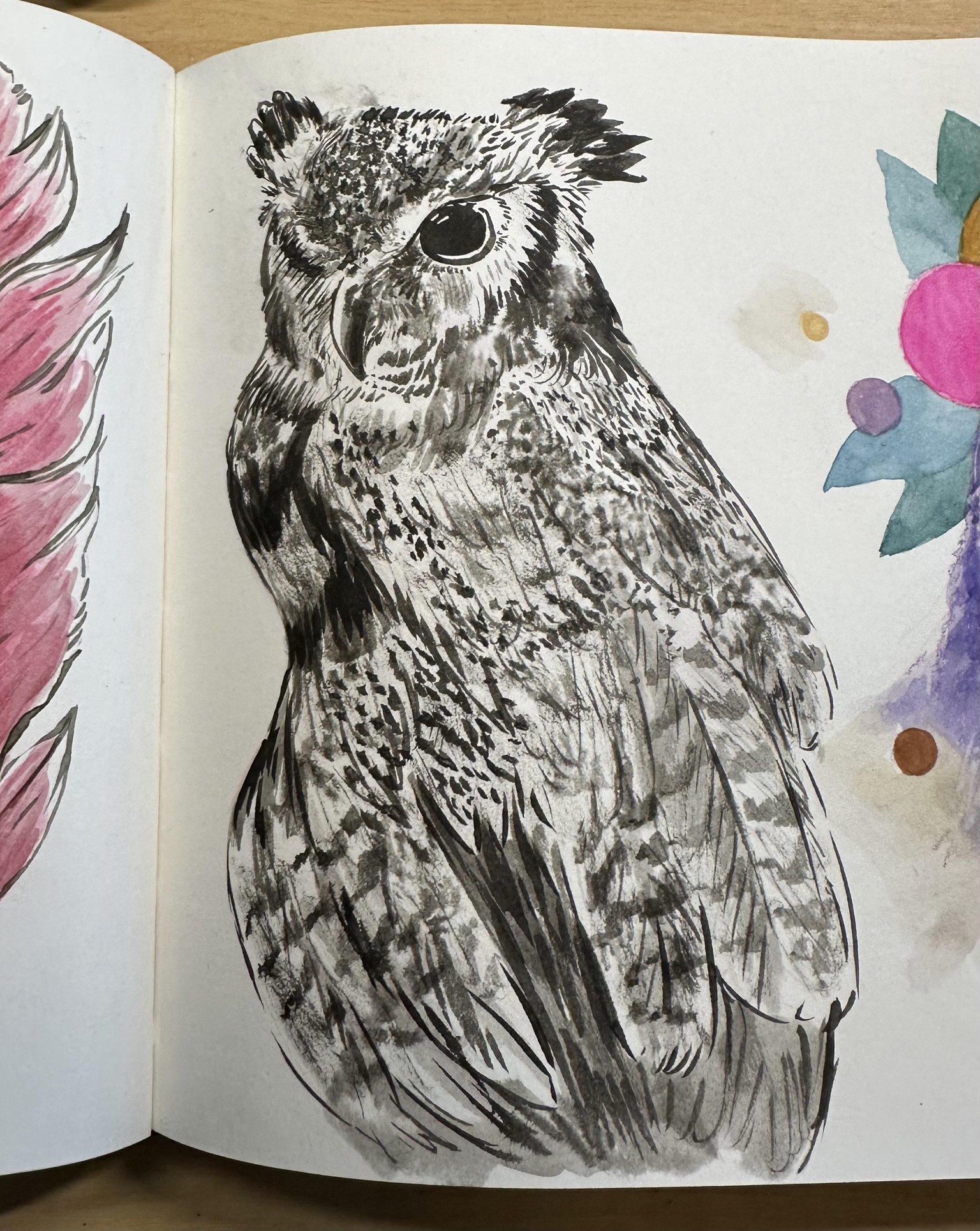 Owls Sketchbook Challenge - image 5 - student project