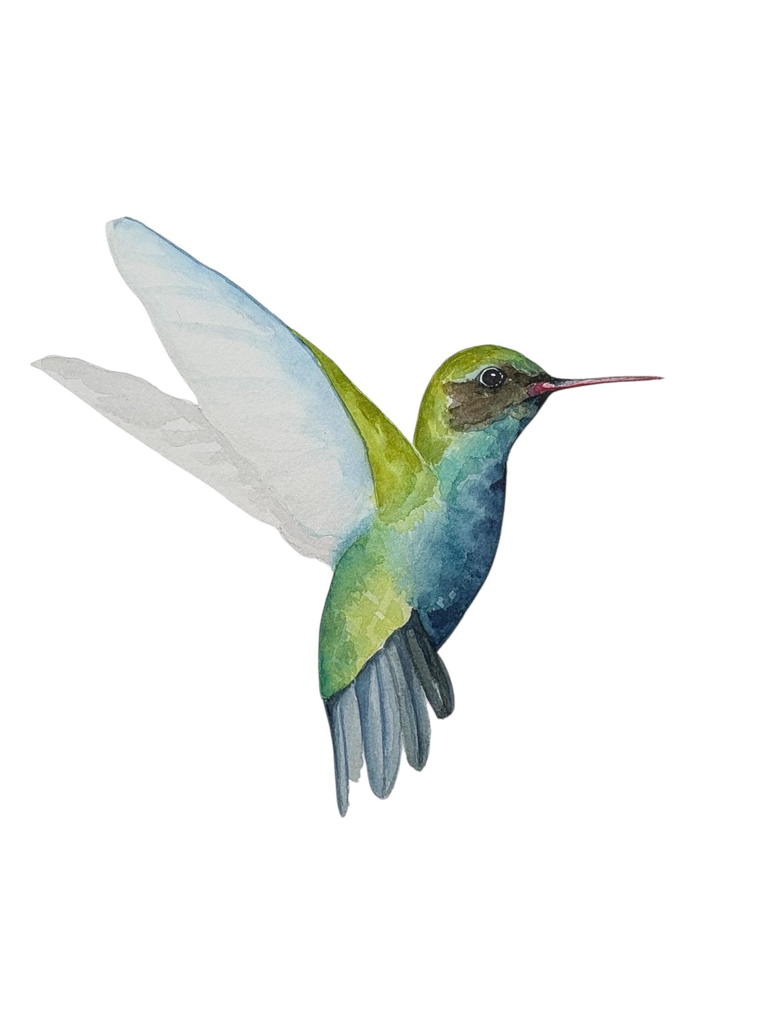 Hummingbird - image 1 - student project