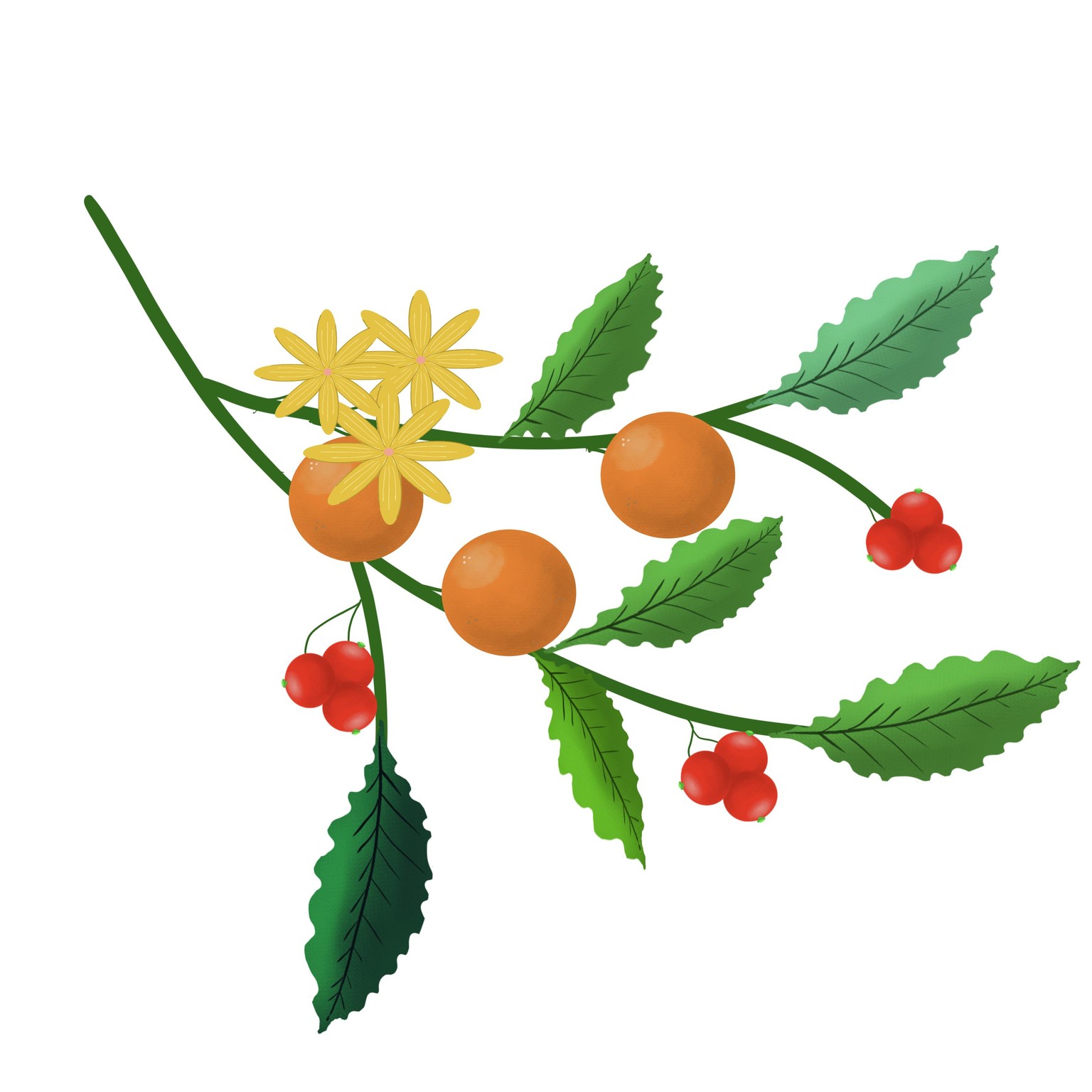 Botanical plant using Procreate - image 2 - student project