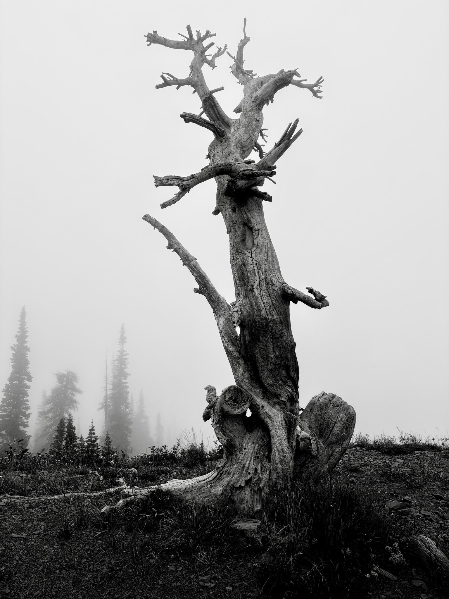 First assignment - image 2 - student project