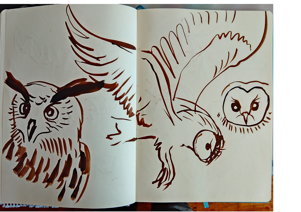 Line Drawing: A Three-Step Approach - image 9 - student project