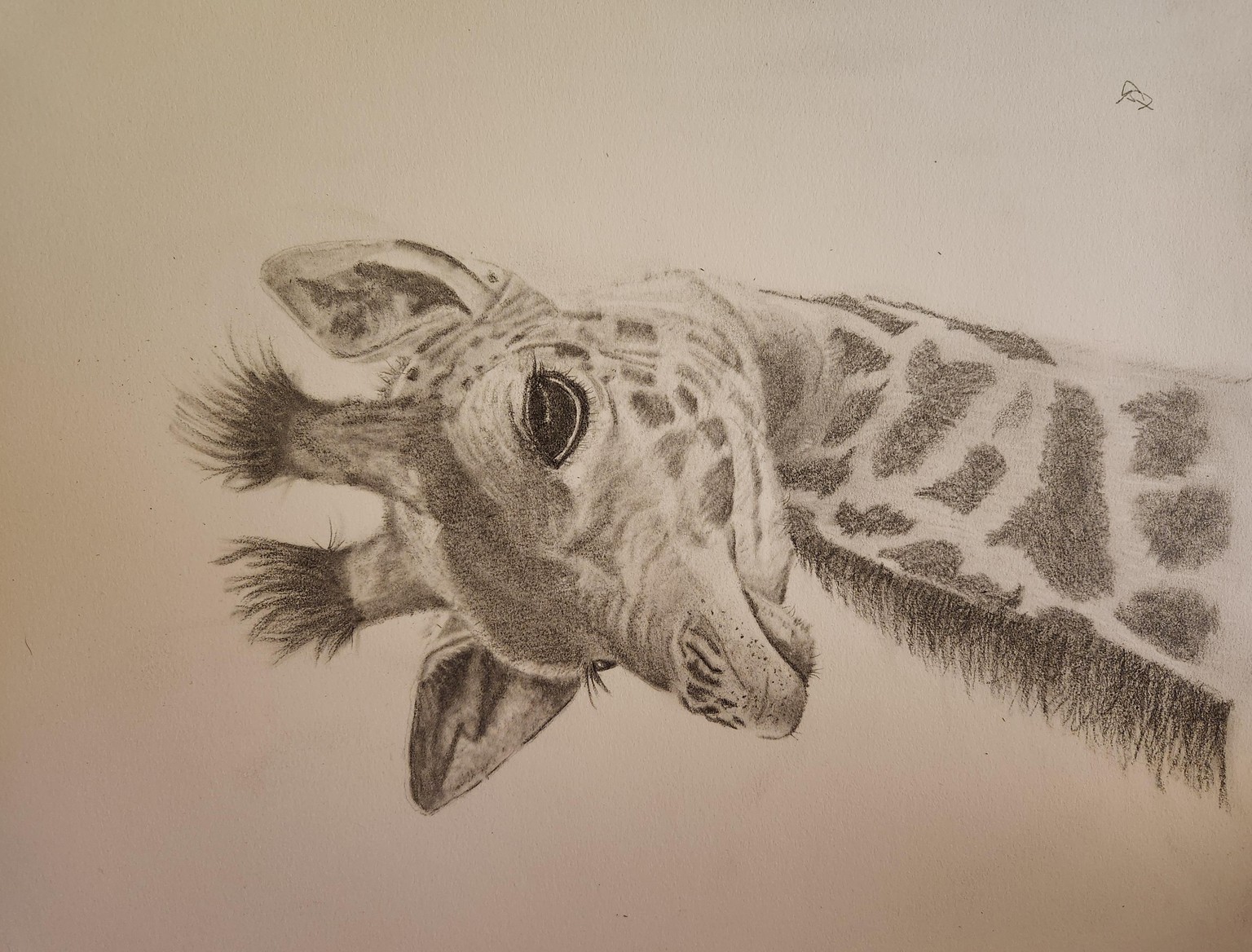 Geoffrey the Giraffe - image 1 - student project