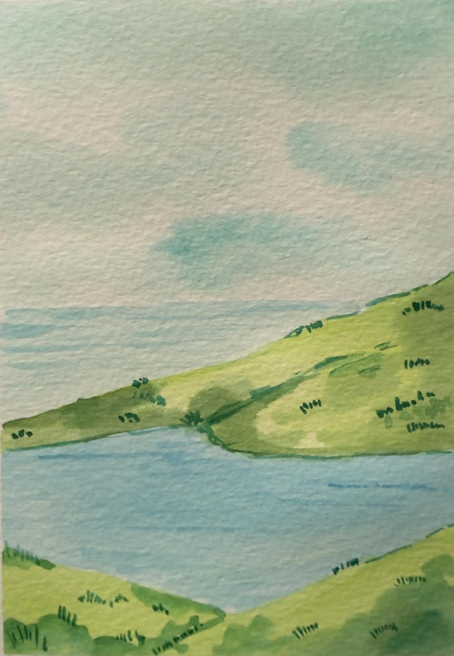Nature in water colour - image 6 - student project