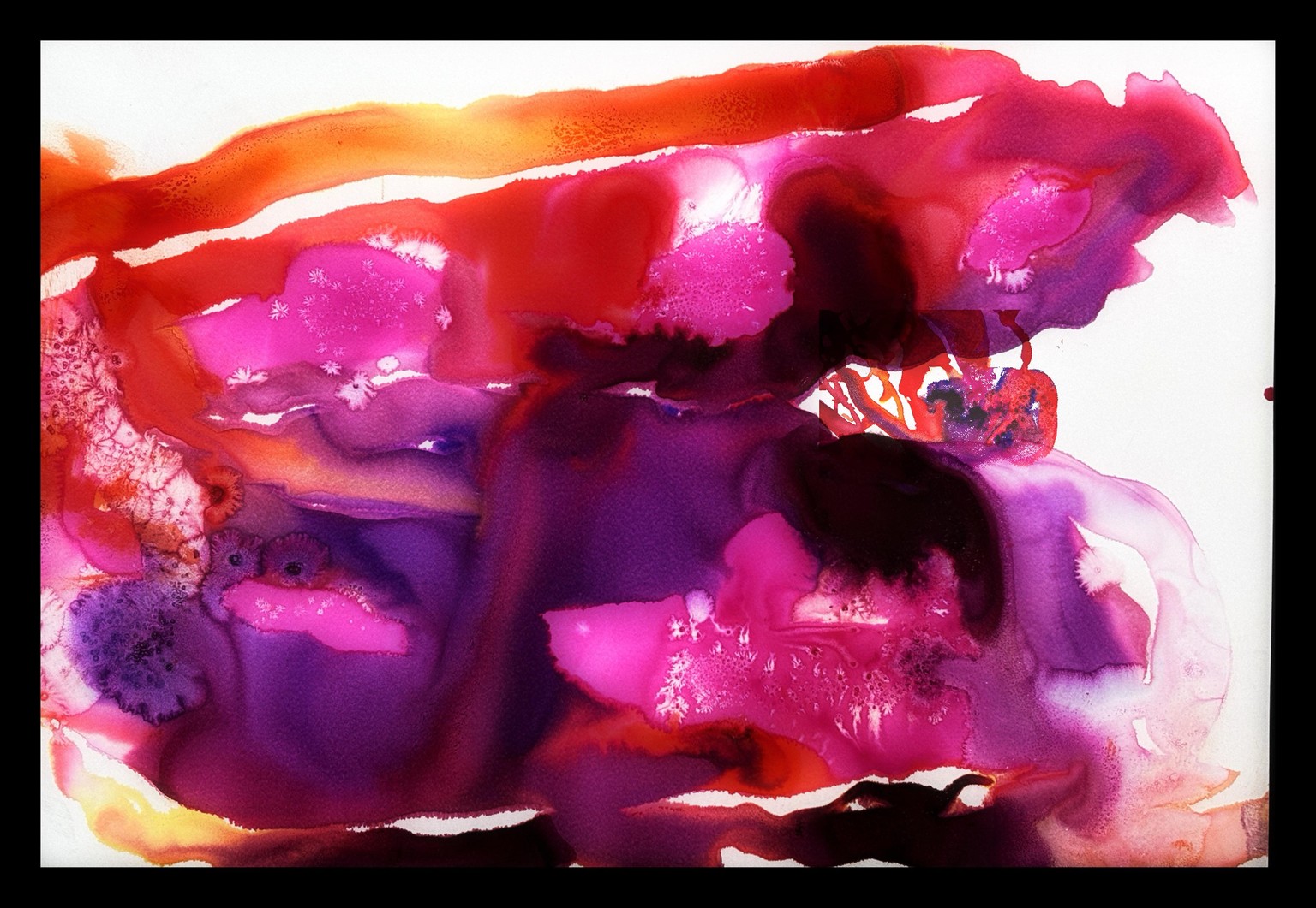 Exploring Color Inspired by Georgia O'Keeffe - image 3 - student project