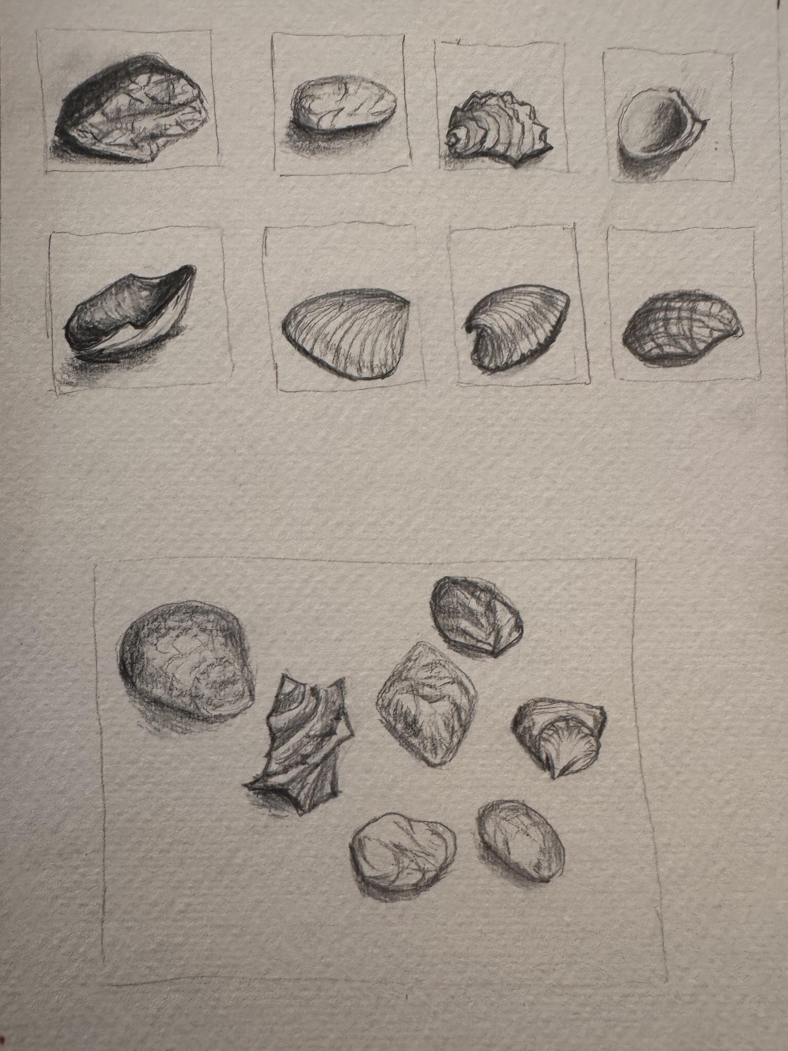 Practice - image 2 - student project