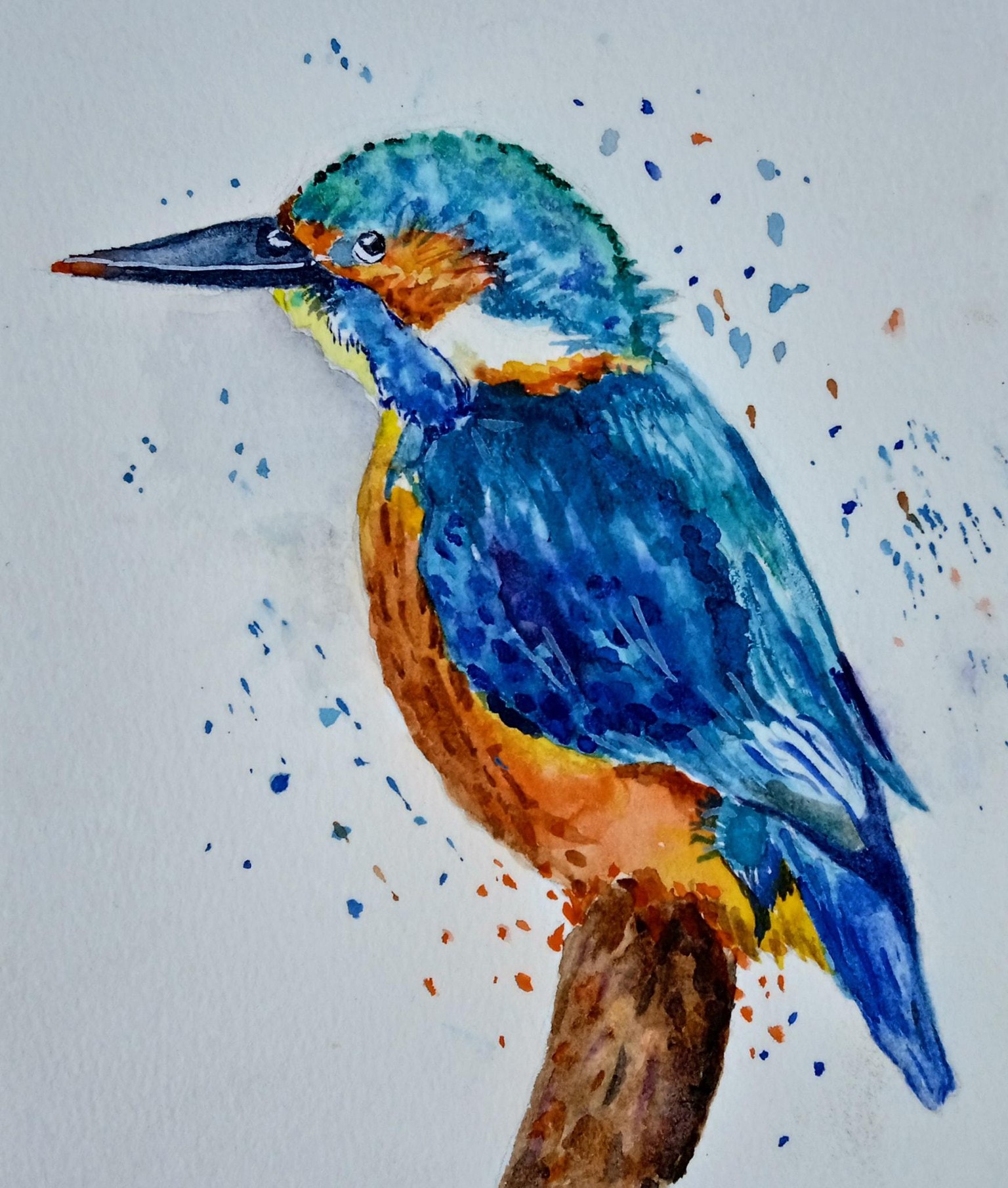 Kingfisher - image 1 - student project