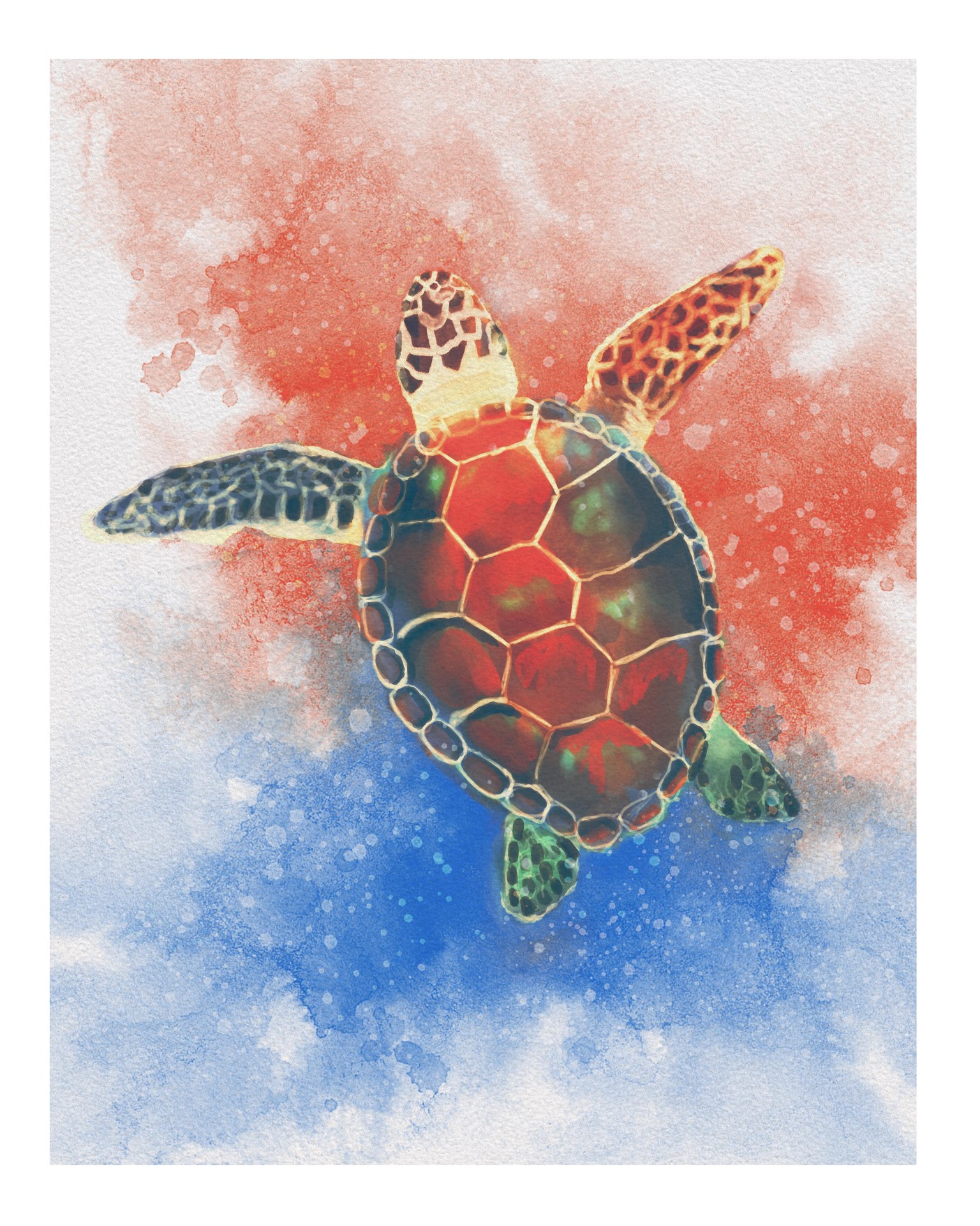 Chickadee and Sea Turtle - image 5 - student project