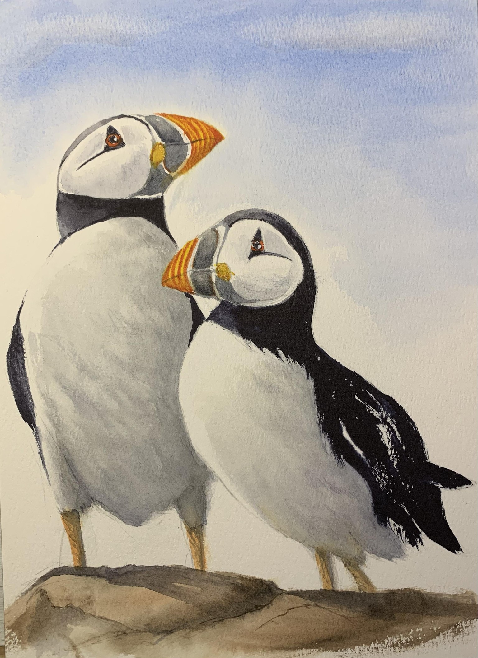 Puffin Pair - image 1 - student project