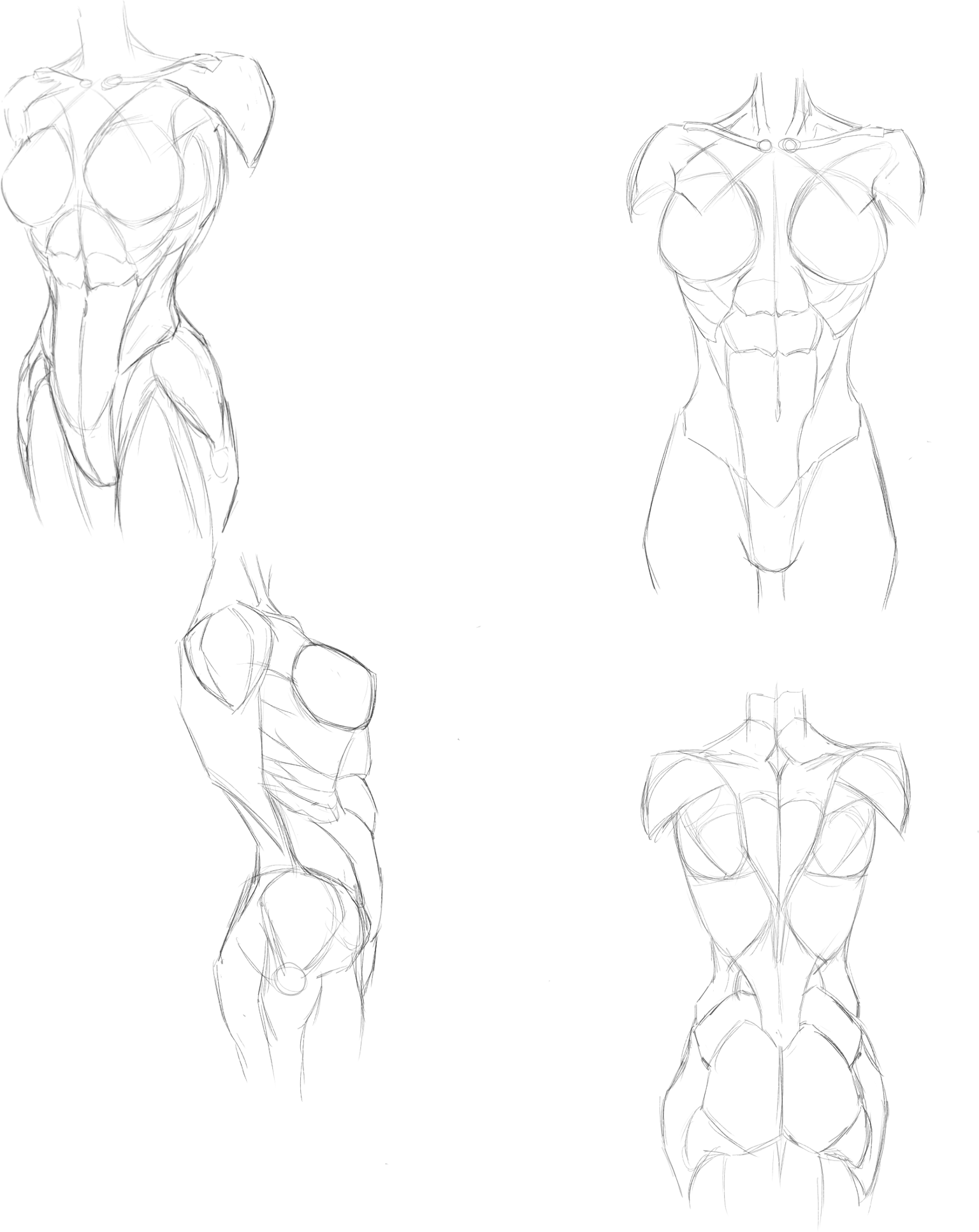 Female Torso - image 1 - student project