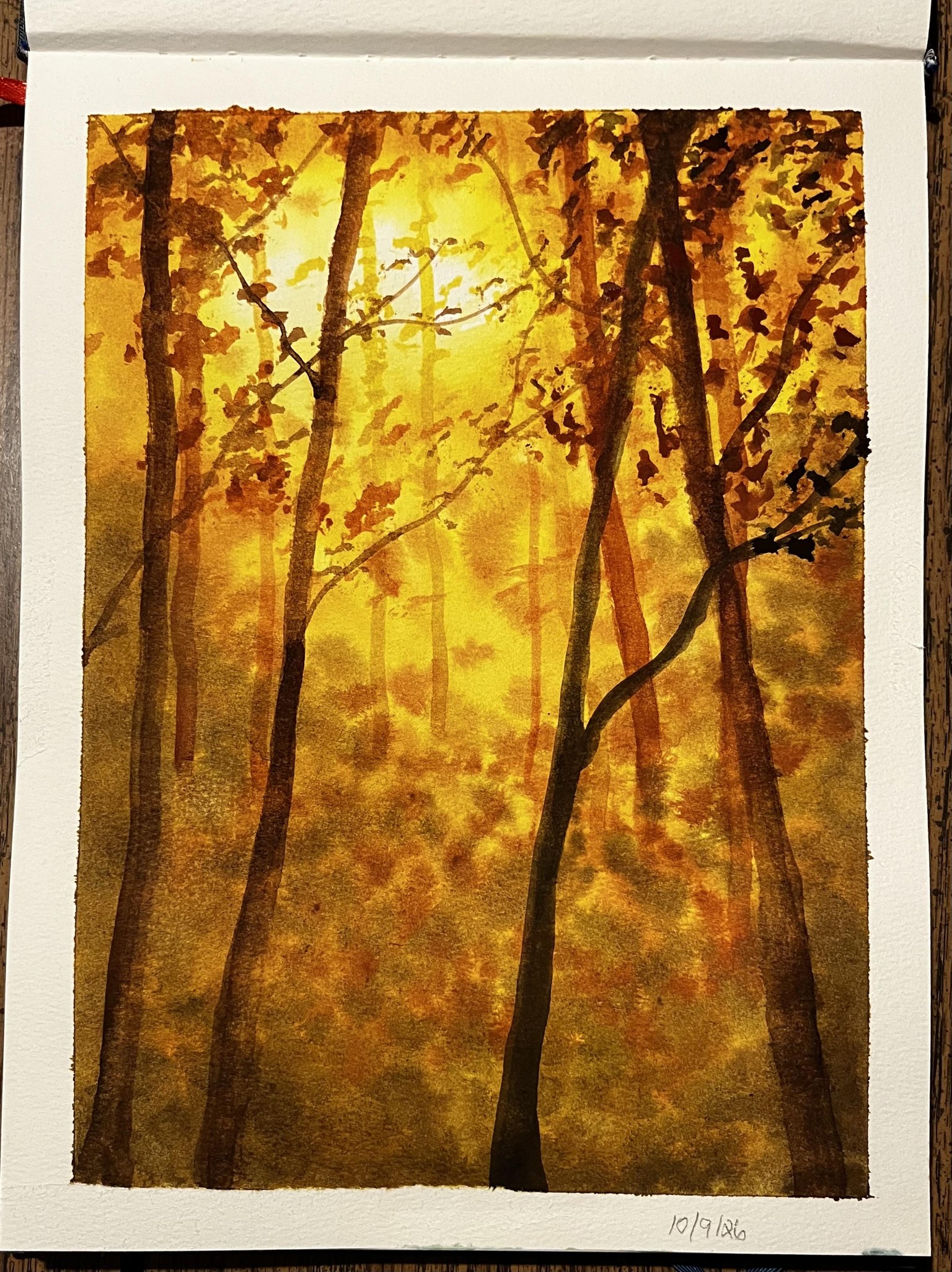 Autumn Paintings - image 17 - student project