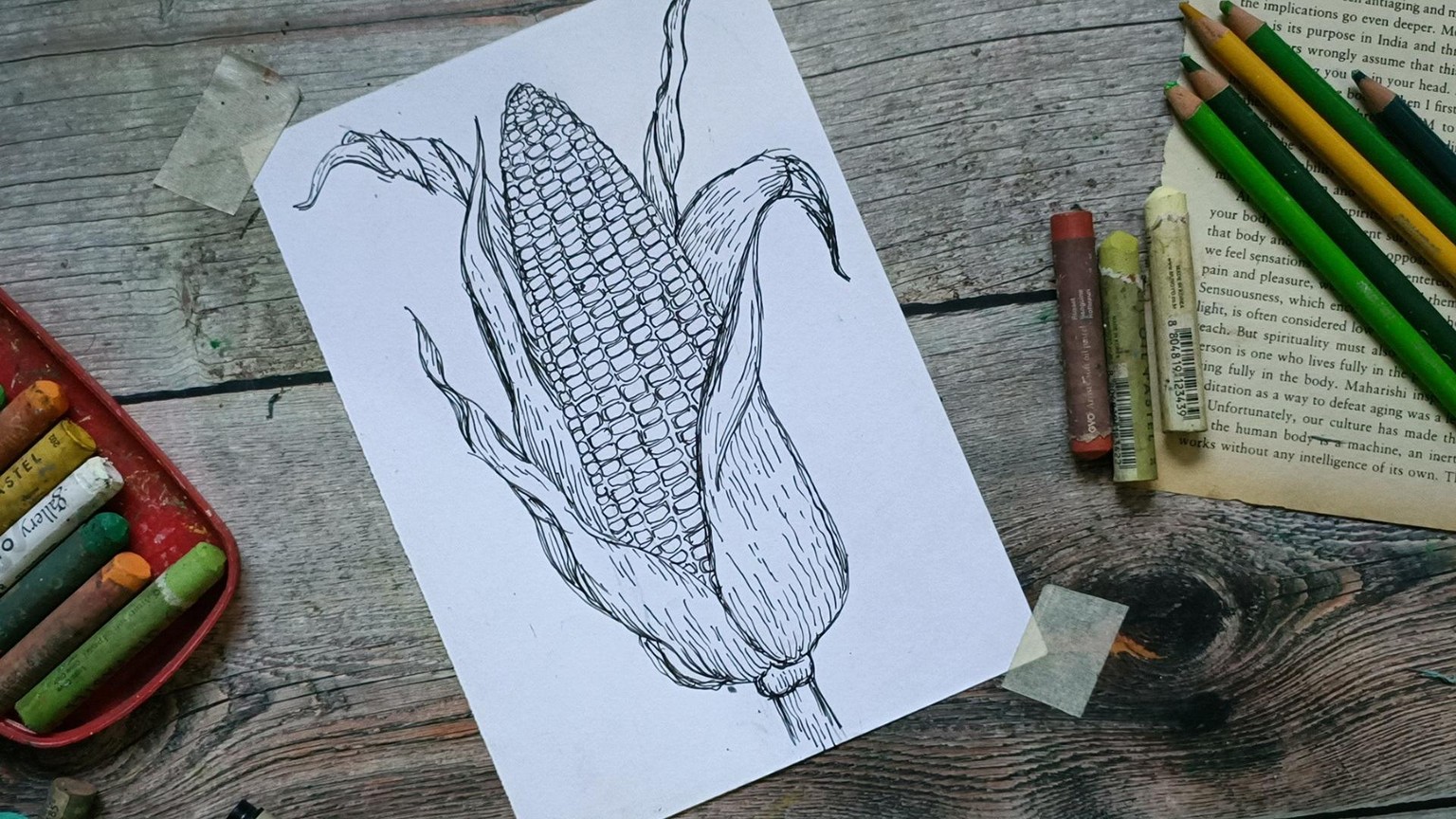 Corn - image 3 - student project