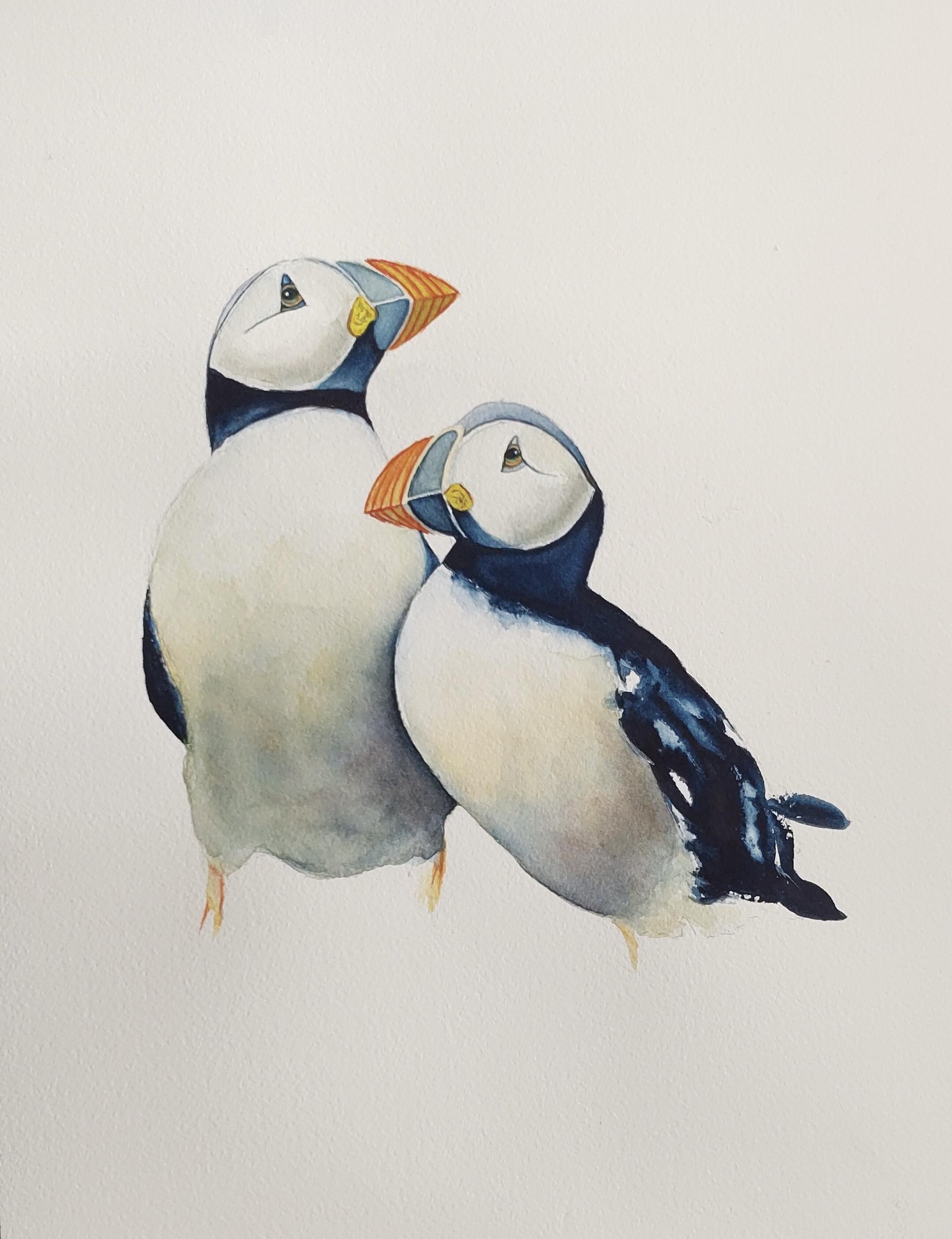 Puffin - a beautiful watercolour class with Nadine Dudek - image 1 - student project