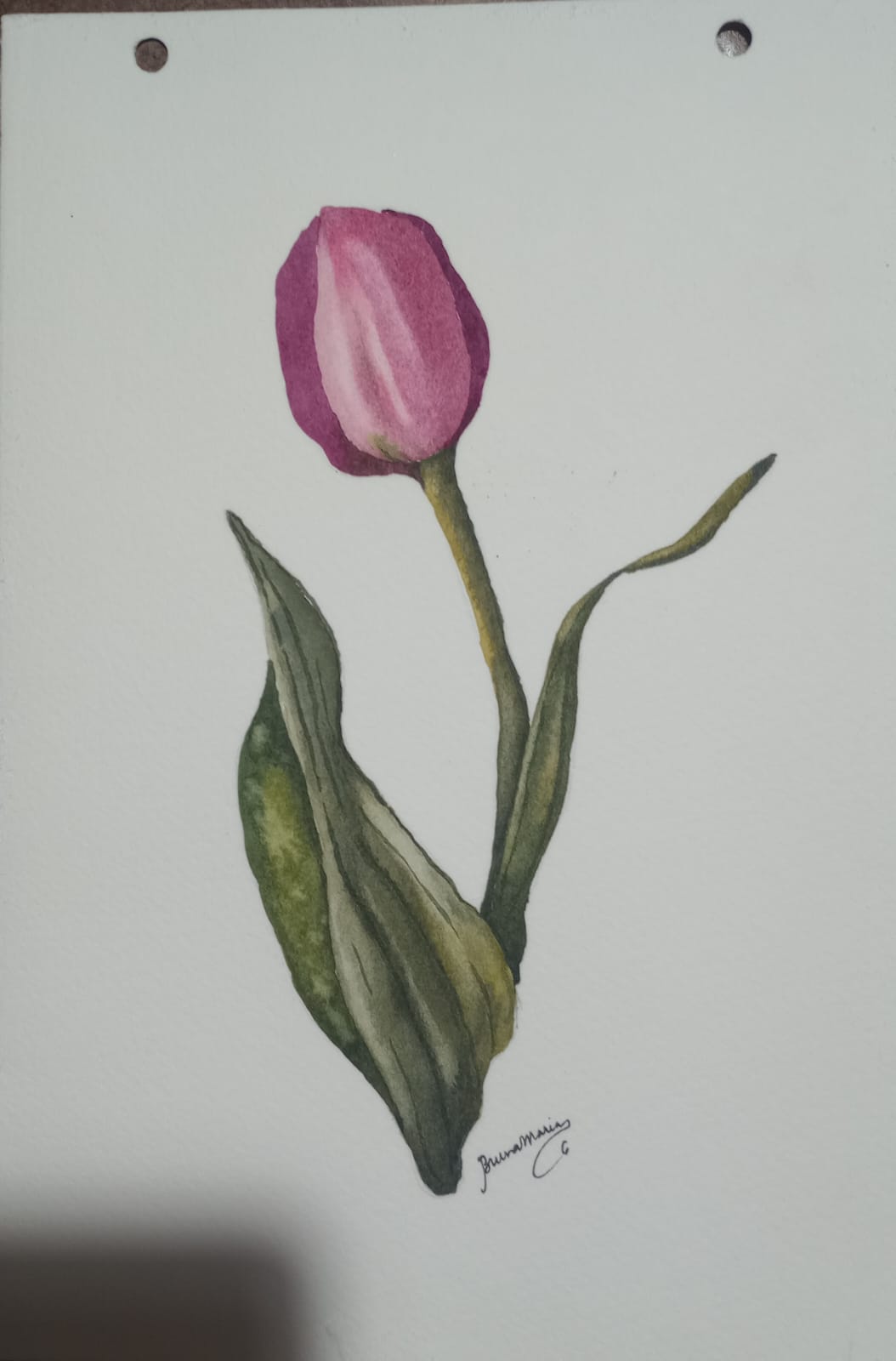 TULIPAS EM AQUARELA - image 2 - student project