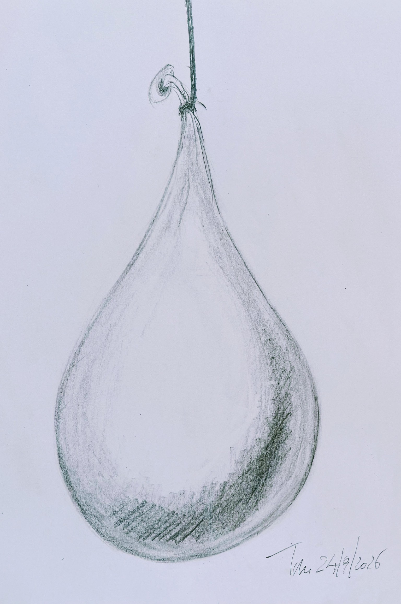 Lasciamo il segno - image 11 - student project