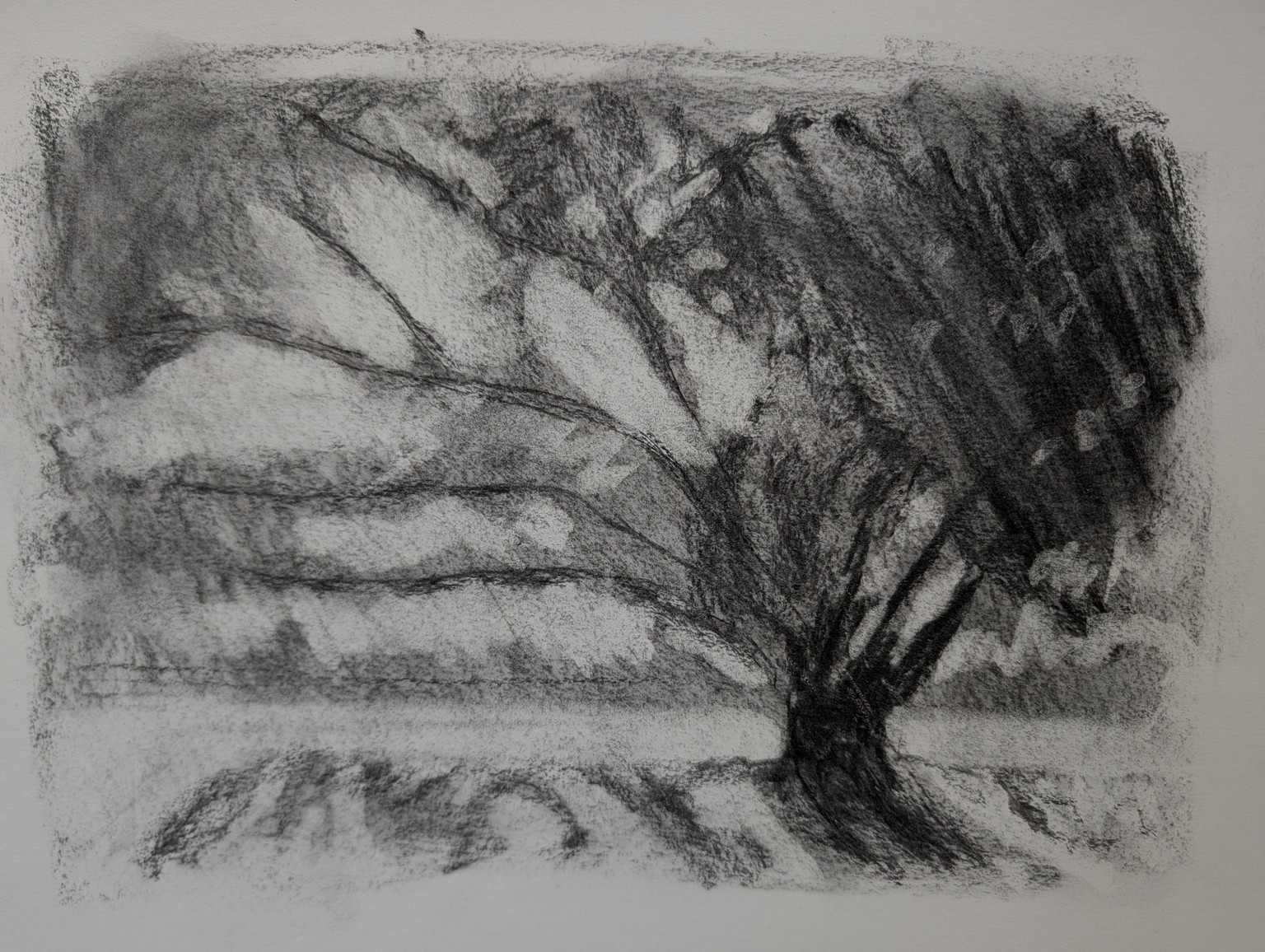 Impressionism: Autumn Painting with Christopher Clark - image 2 - student project