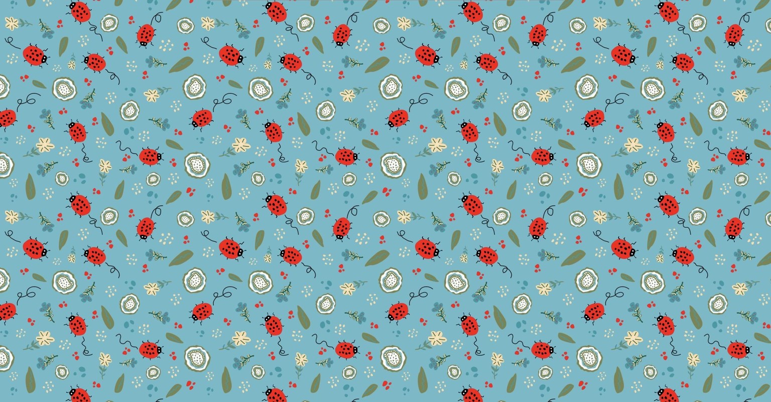 Ladybug Dance - image 1 - student project