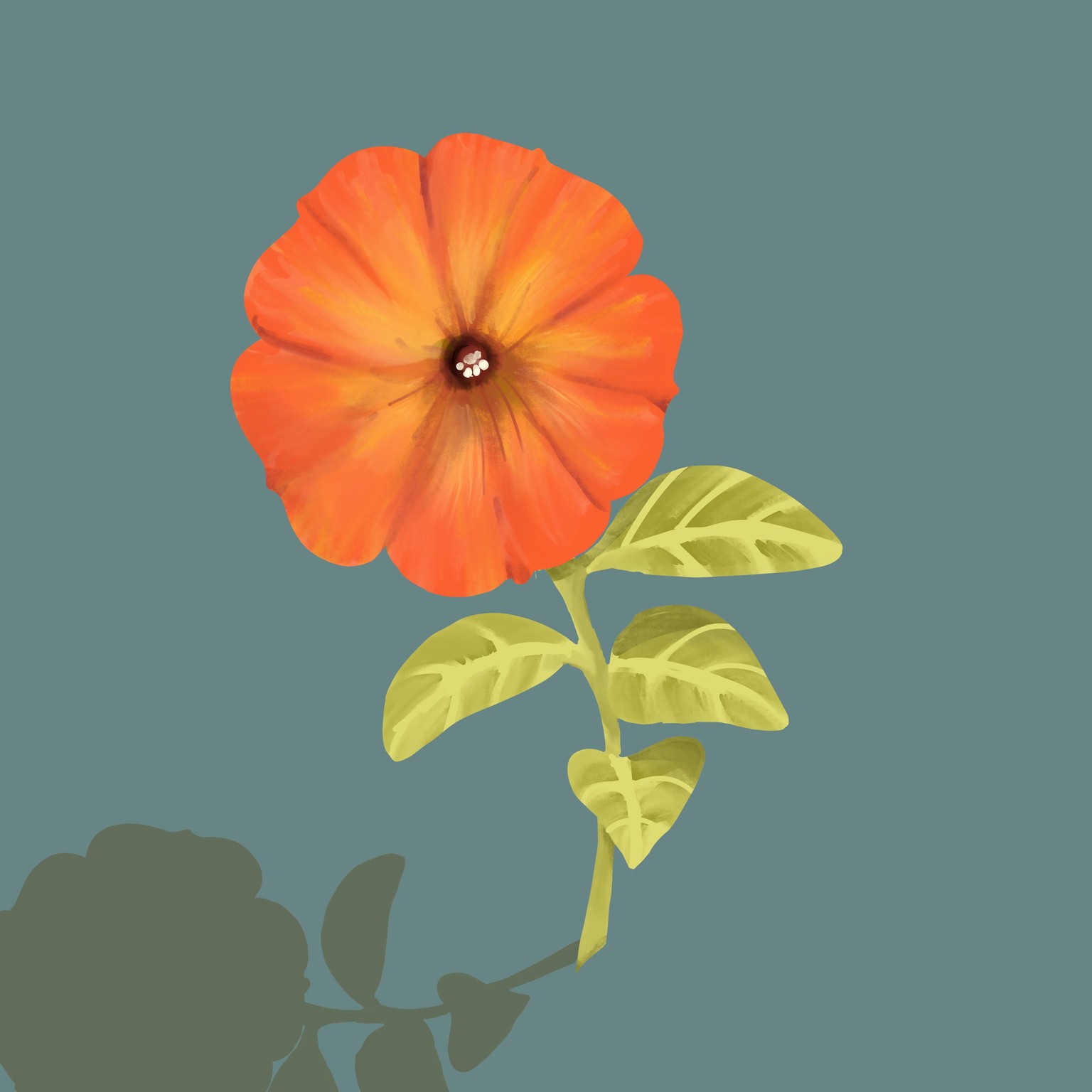 some pretty flowers - image 3 - student project