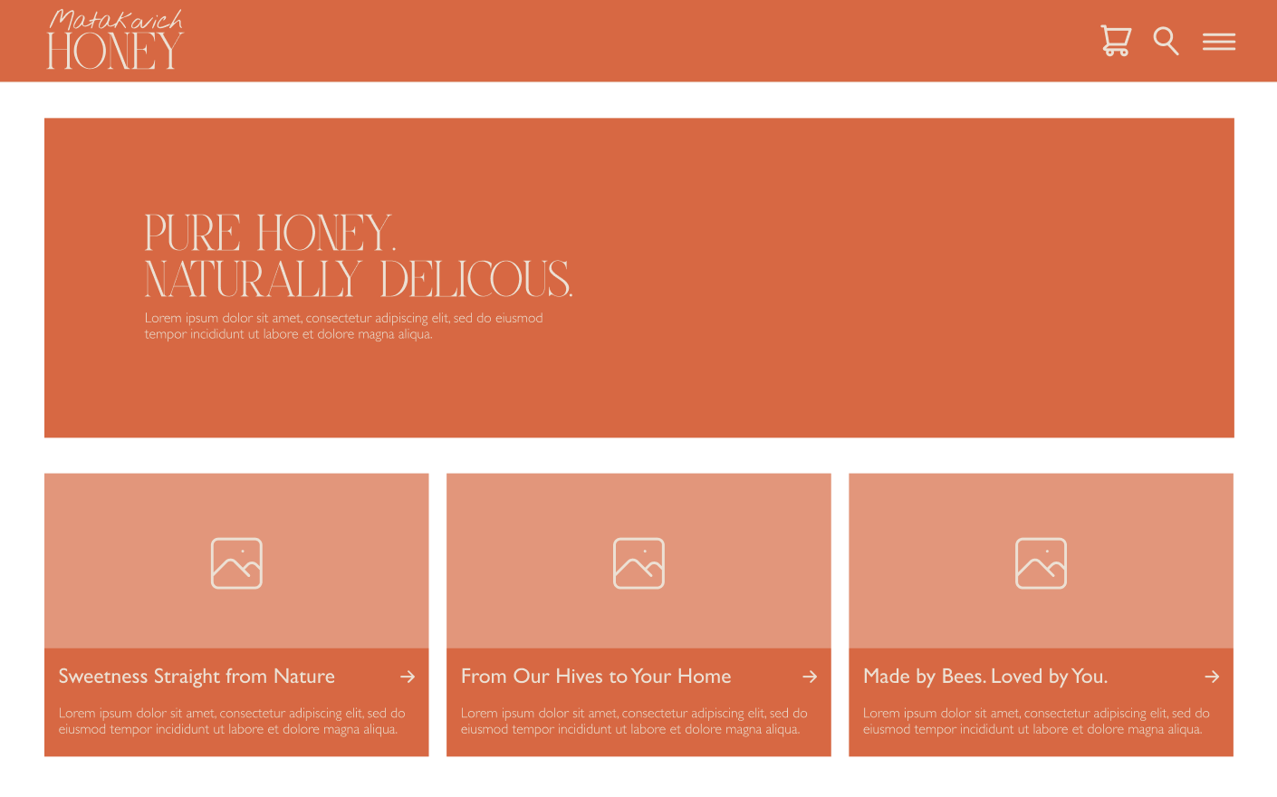 Matakovich Honey Wireframe - image 9 - student project