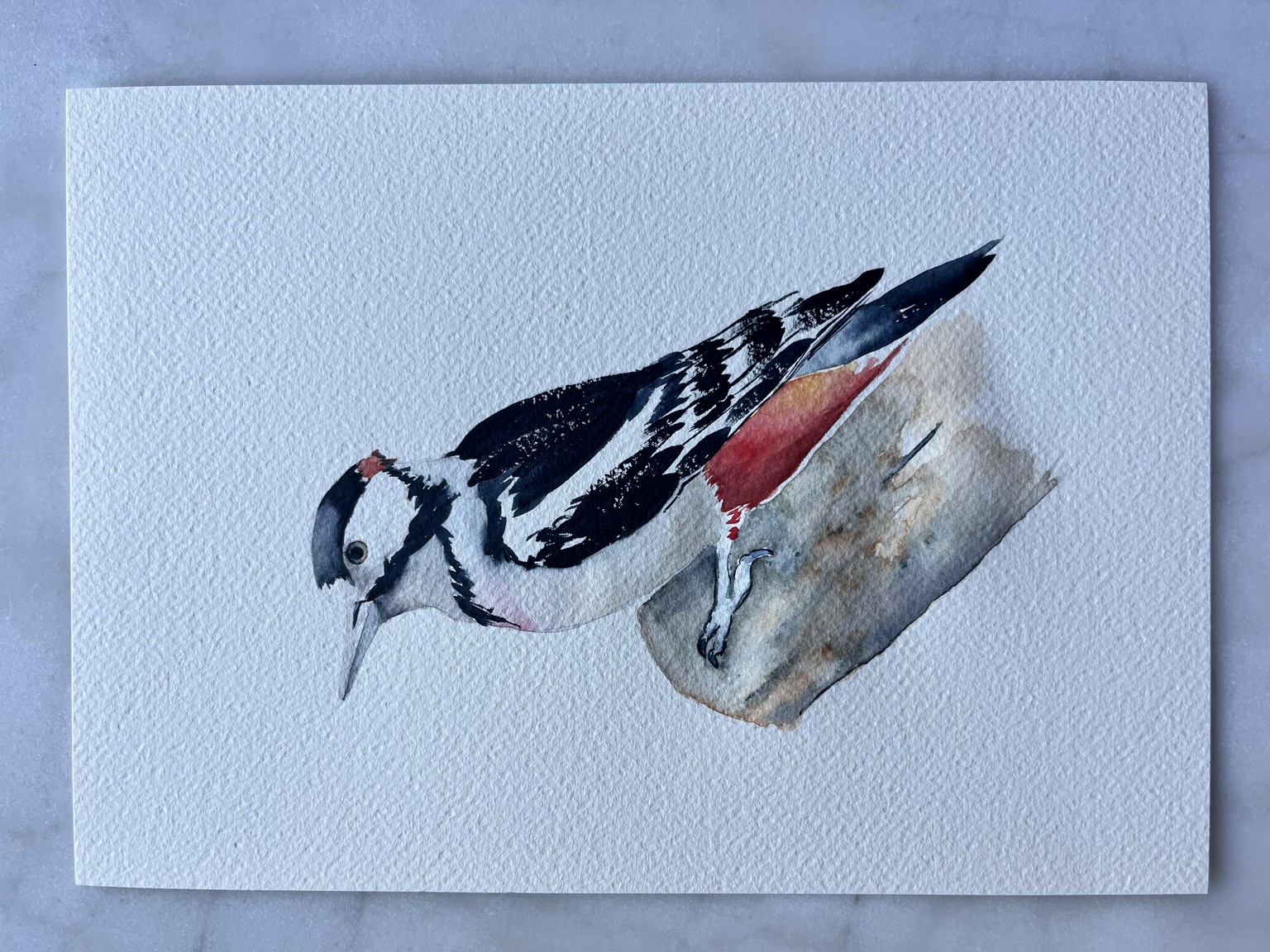 Woodpecker Watercolour - image 1 - student project