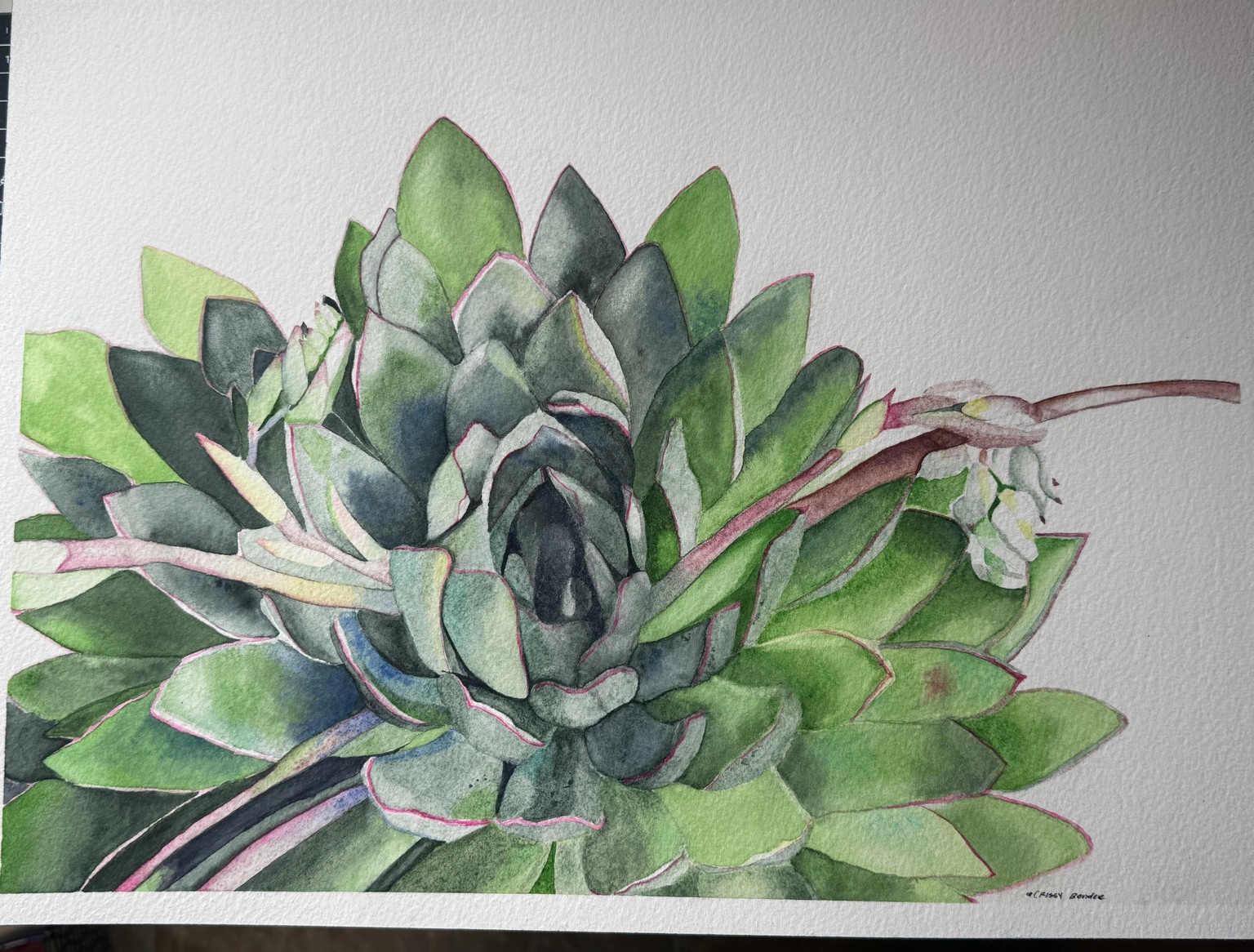 Quiet Resilience - image 1 - student project
