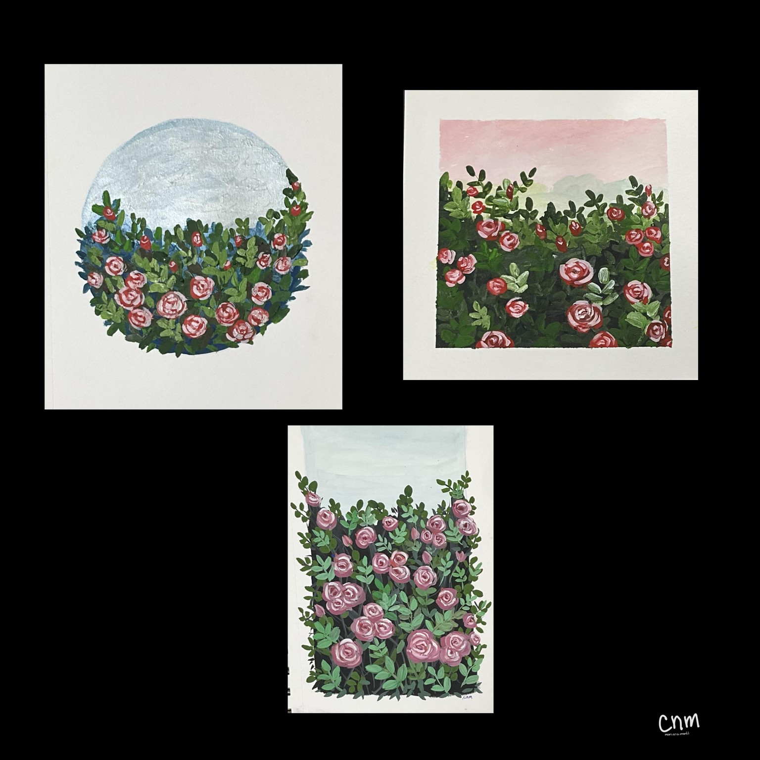 Roses - image 1 - student project