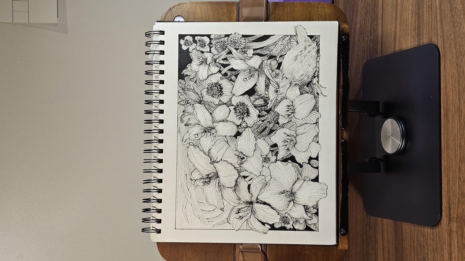 Learning draw Lily garden - image 1 - student project
