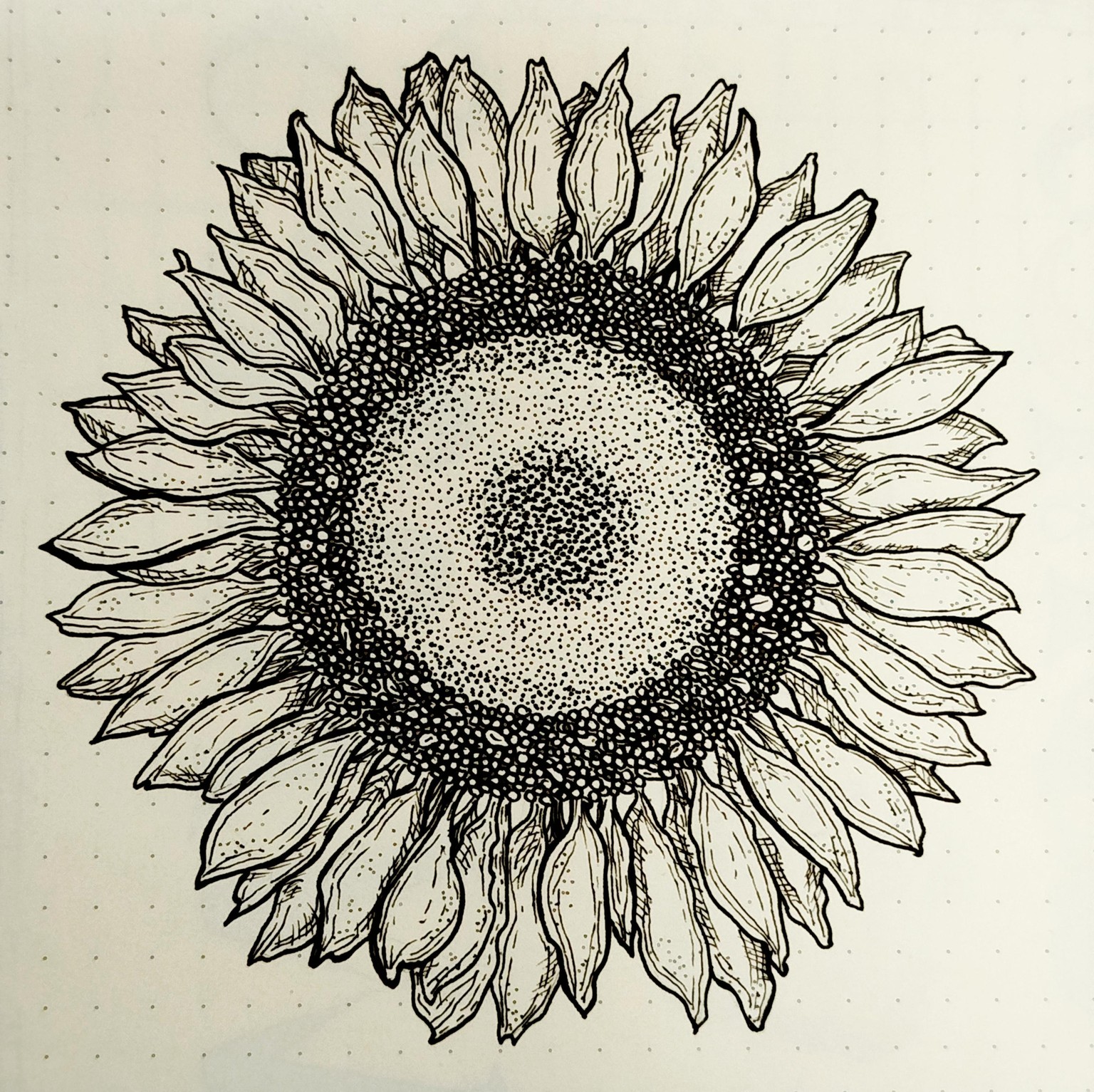 Sun Flower - image 1 - student project