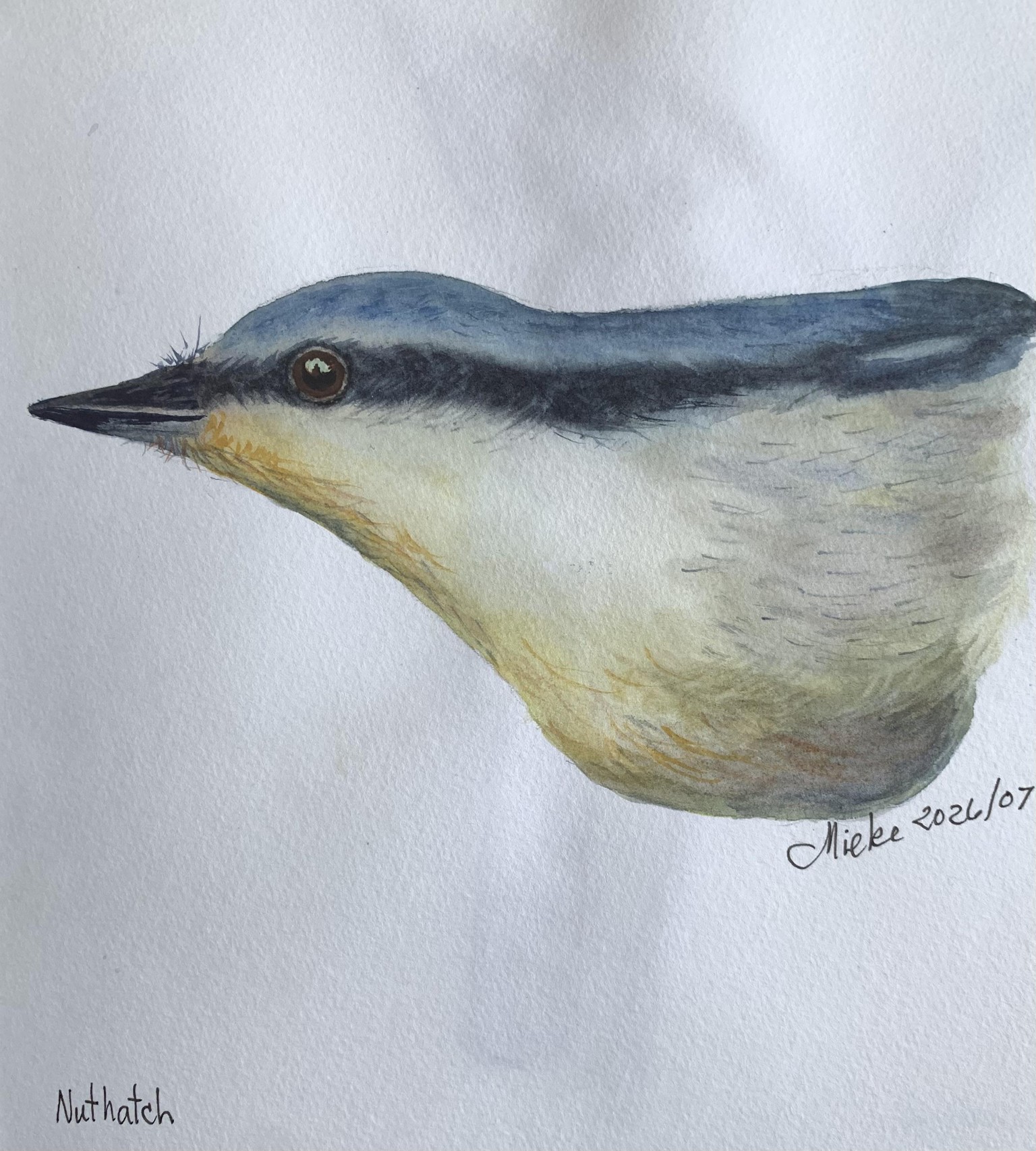 Watercolour birds - wet on wet - image 3 - student project