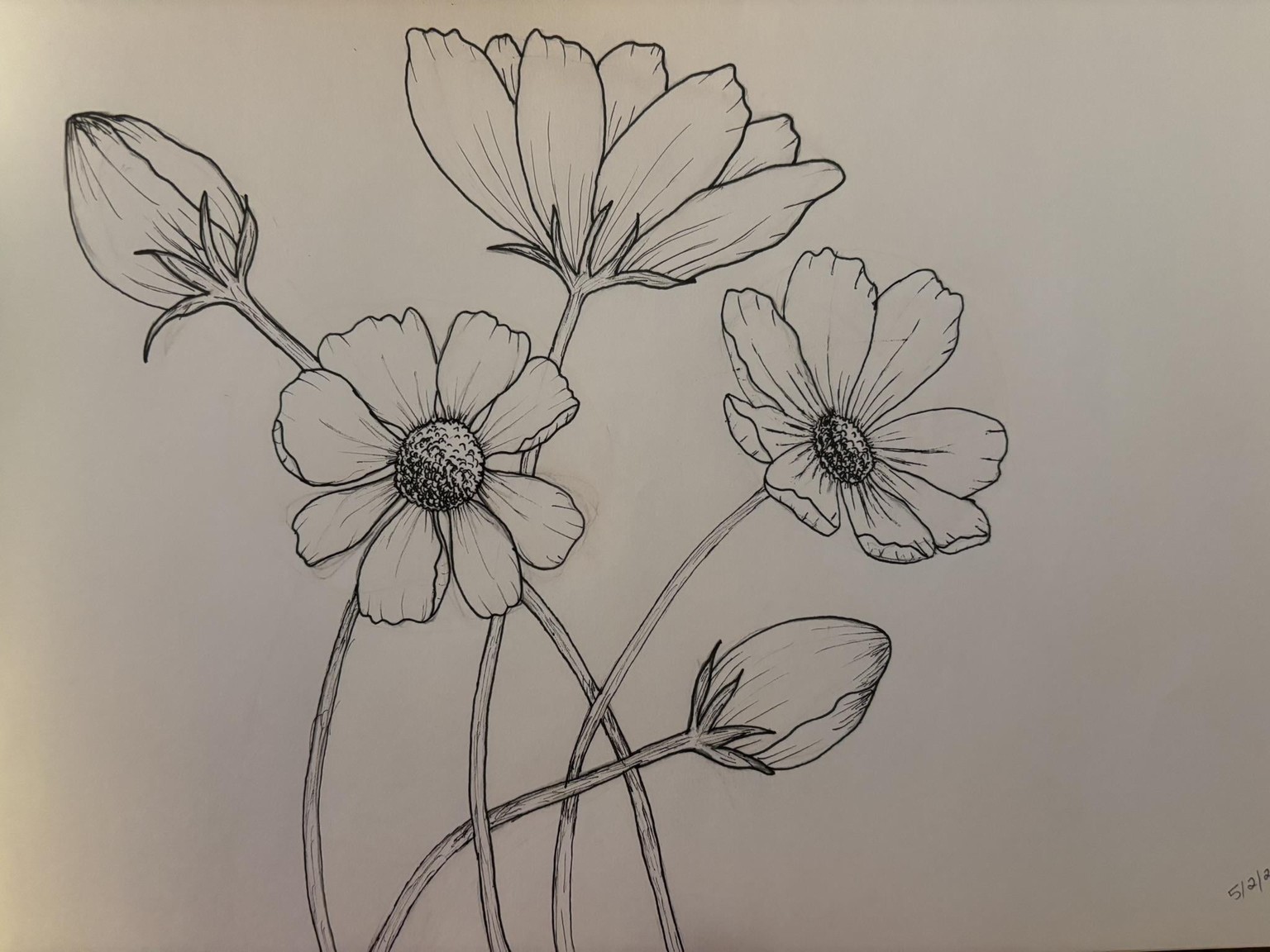 Flower Drawings - image 1 - student project