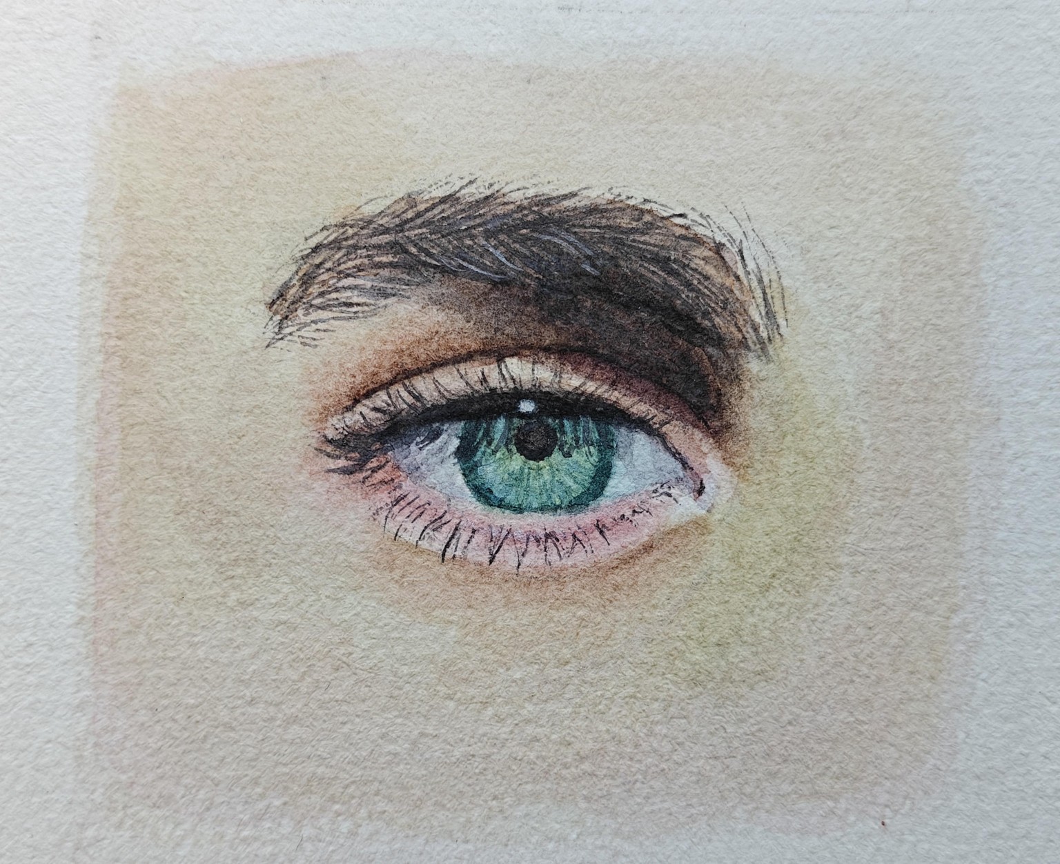 Dark skin eye study - image 3 - student project