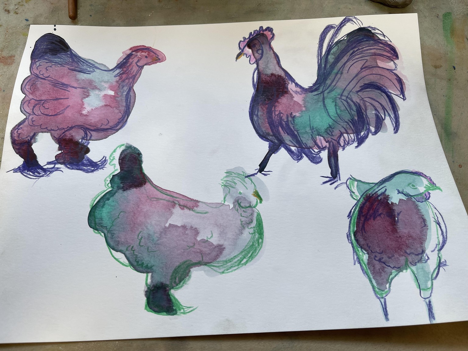 Speedy Chickens x8 - image 2 - student project