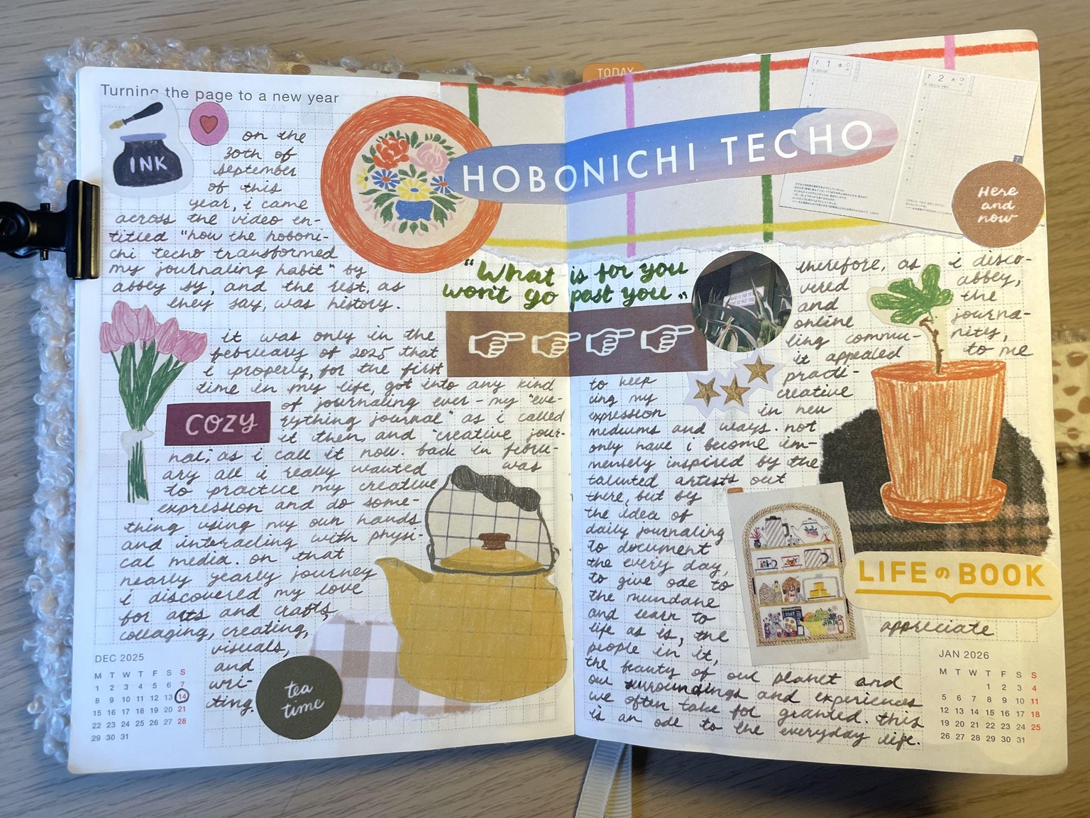 the joy of journaling with fountain pens - image 1 - student project