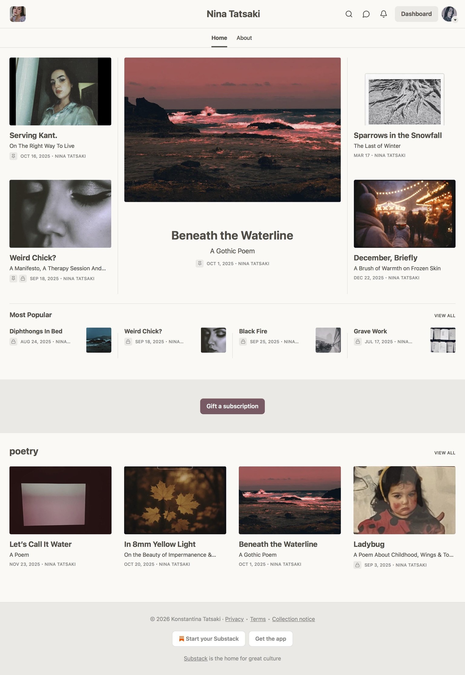 My Substack :) - image 1 - student project