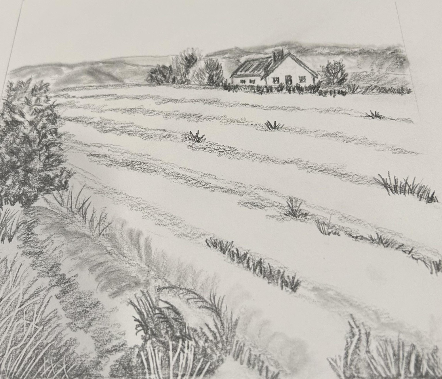 Landscapes - image 4 - student project