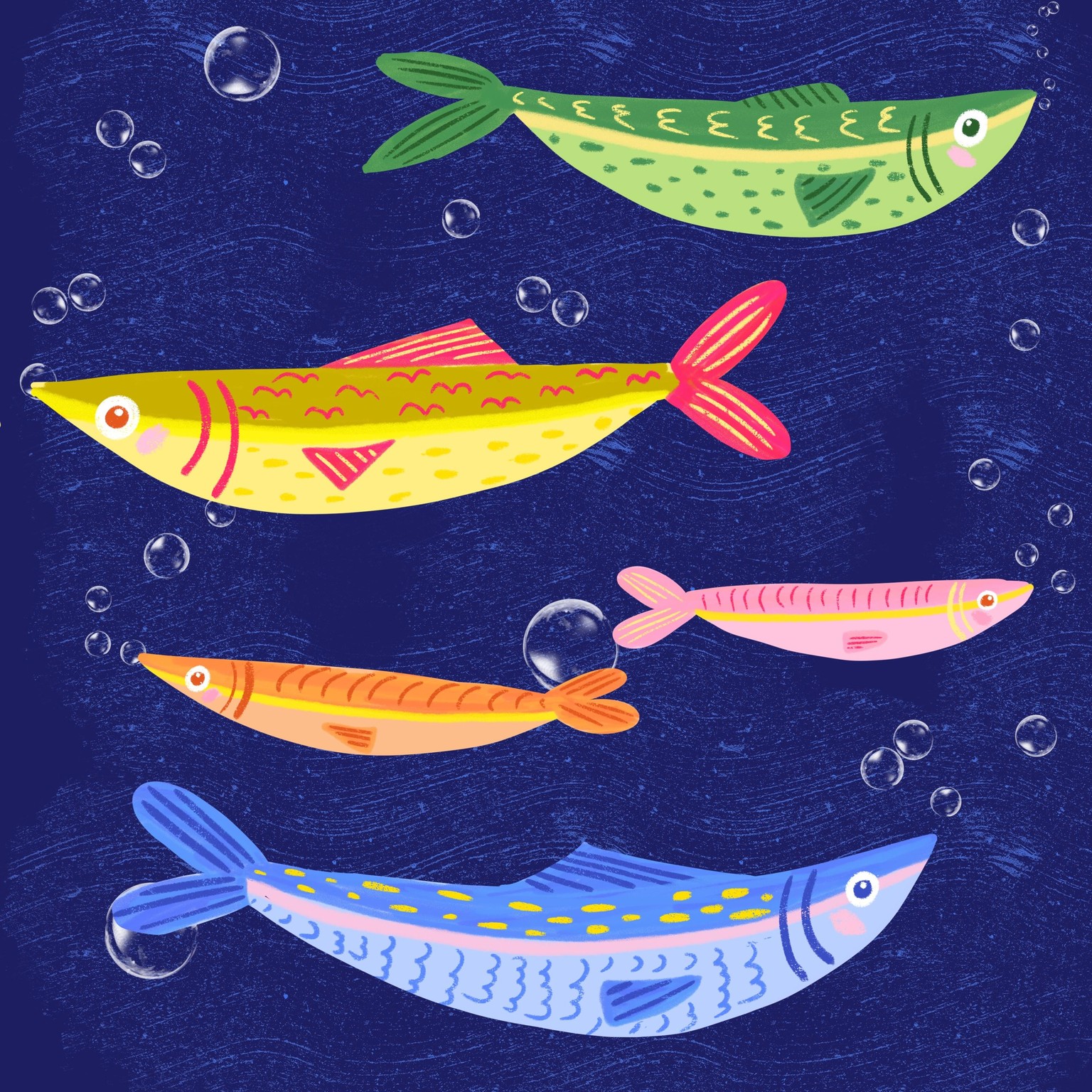 Sardine-Play - image 1 - student project
