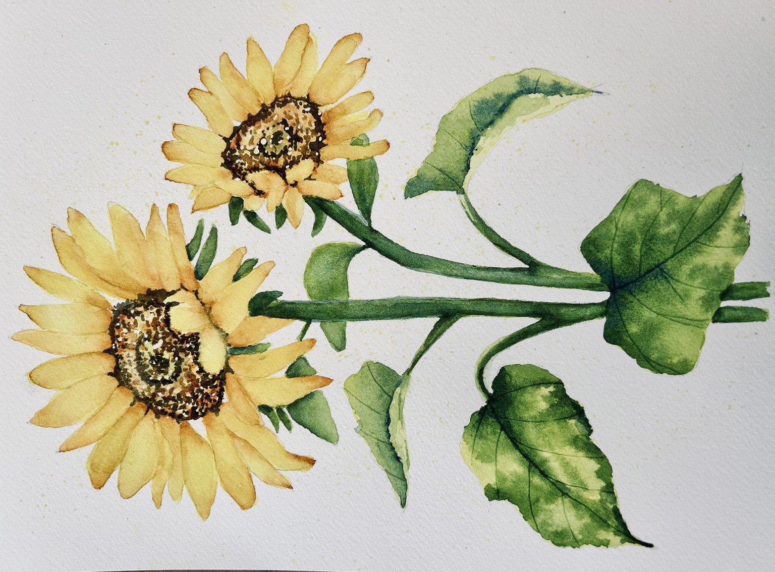 Sunflowers - image 1 - student project