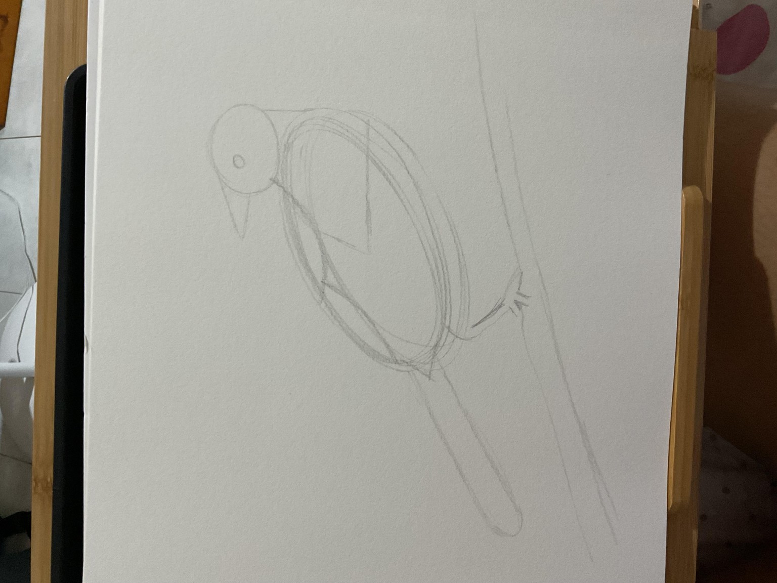 Drawing for Beginners - image 2 - student project