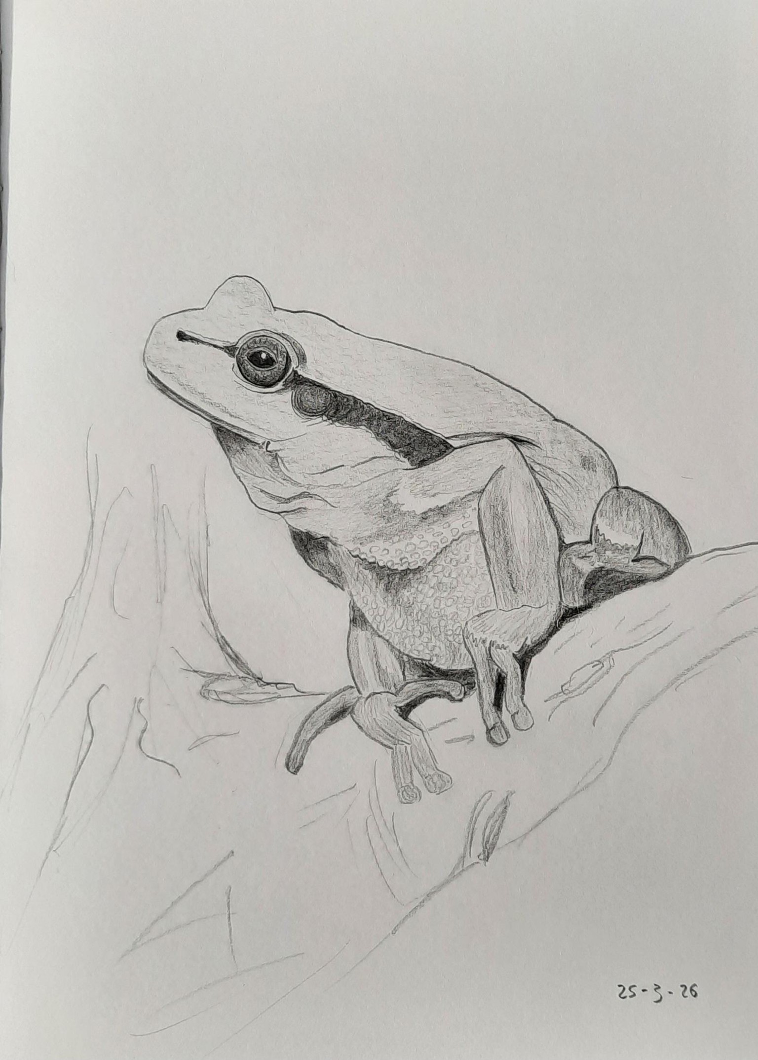 My Sketches - image 5 - student project