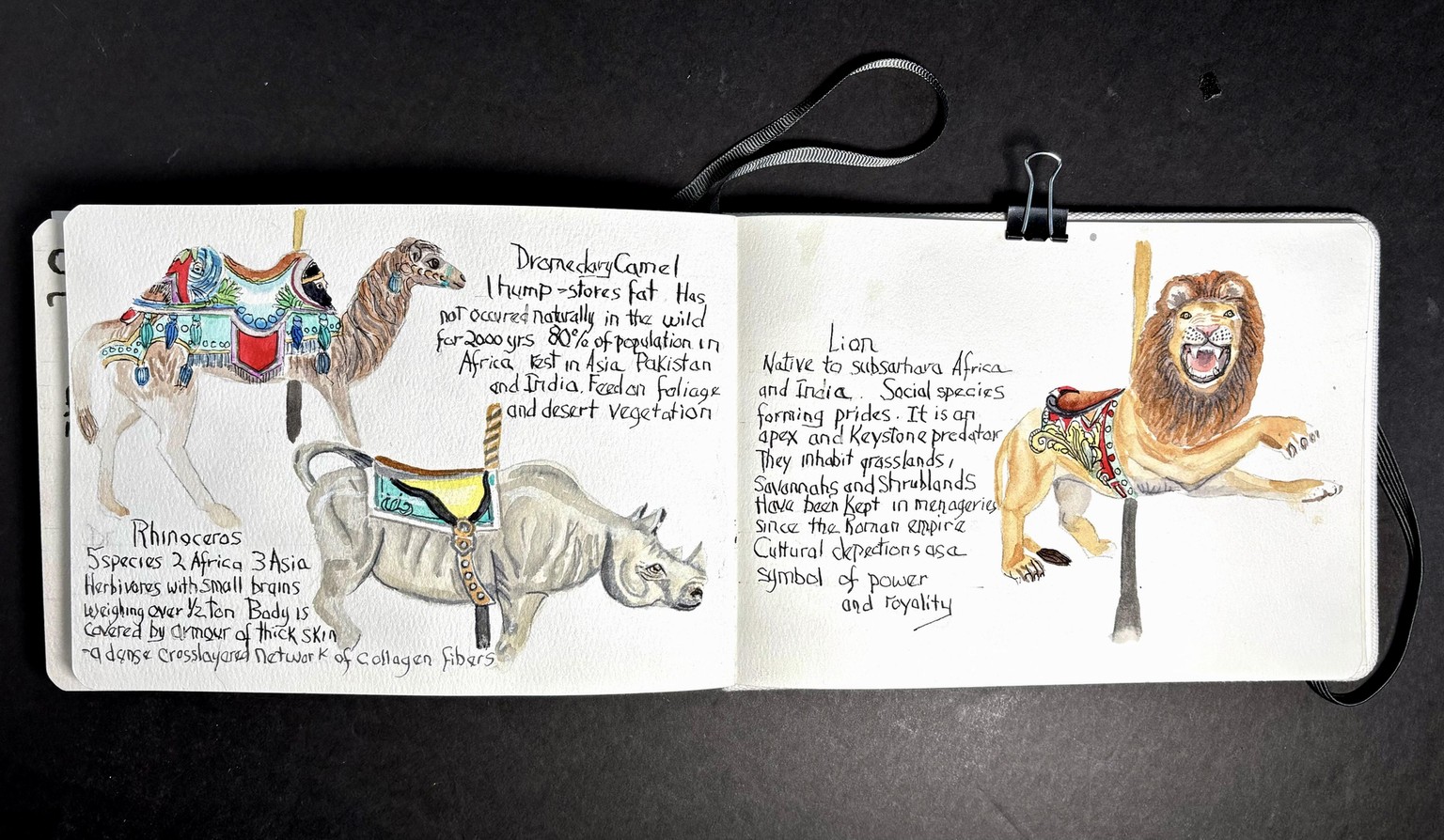 Sketchbook Practice - image 3 - student project