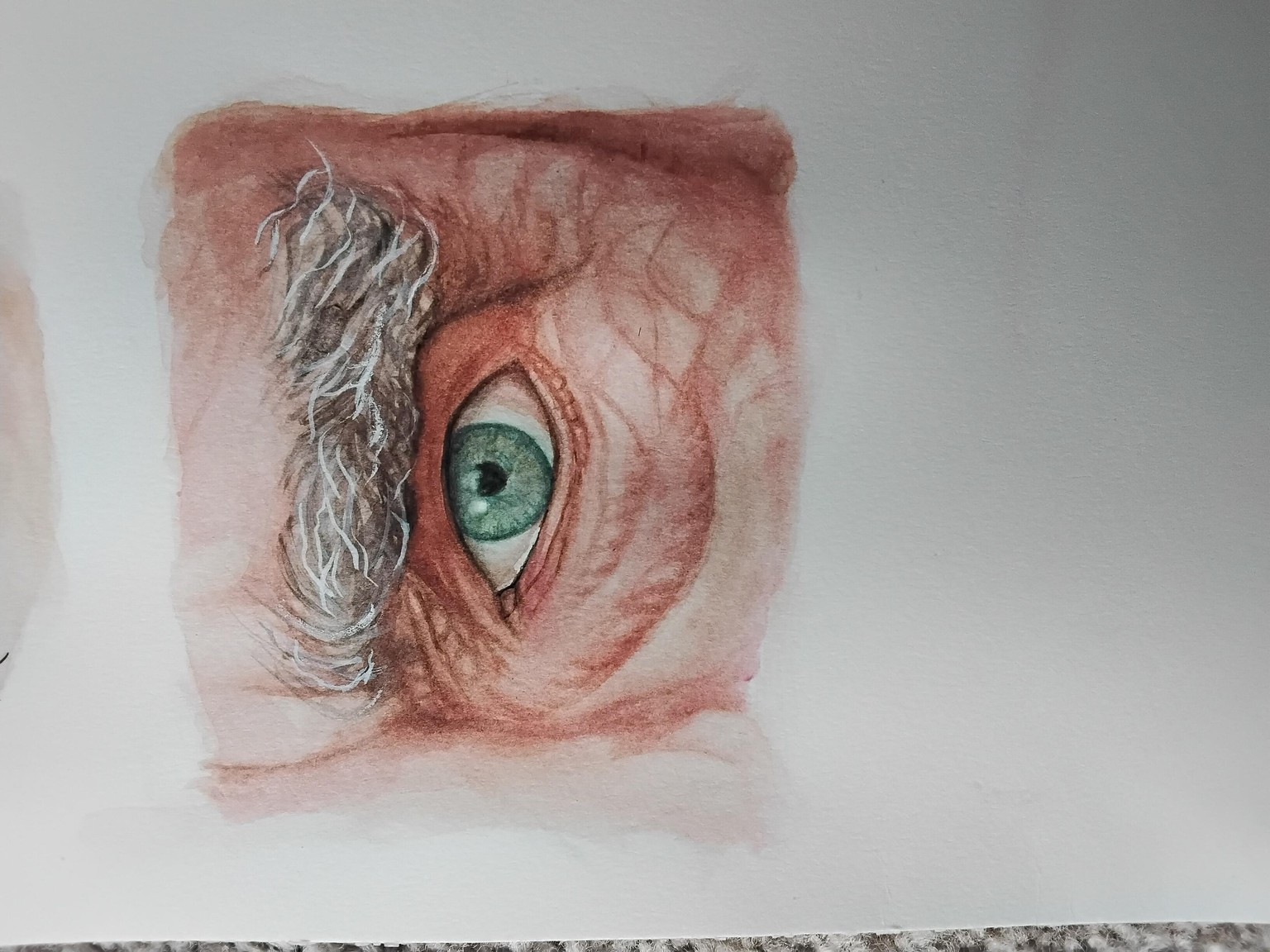 Old eyes! - image 1 - student project