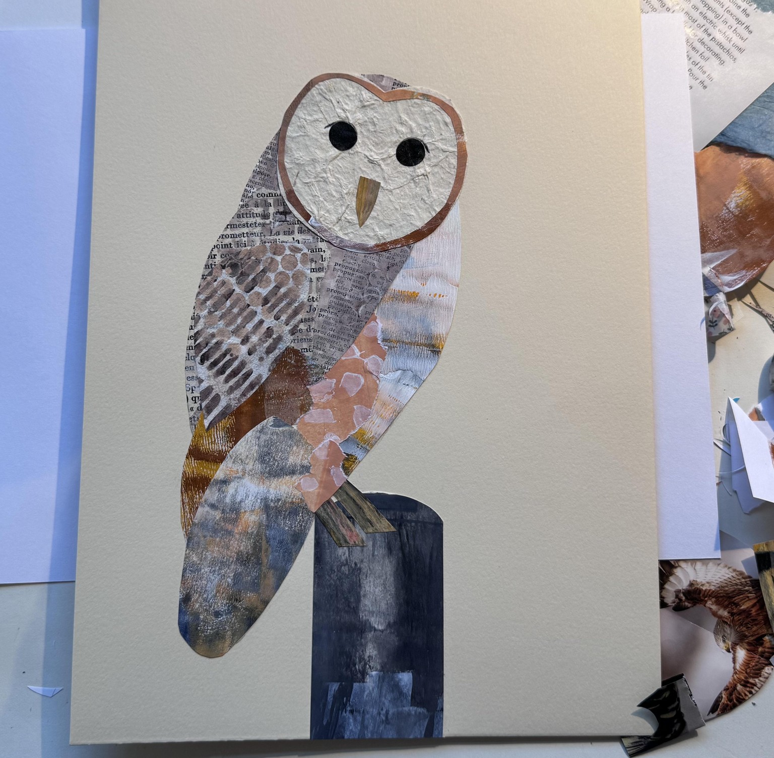 Collage birds - image 2 - student project