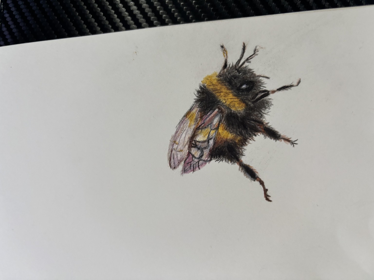 Bee Nice lol - image 1 - student project