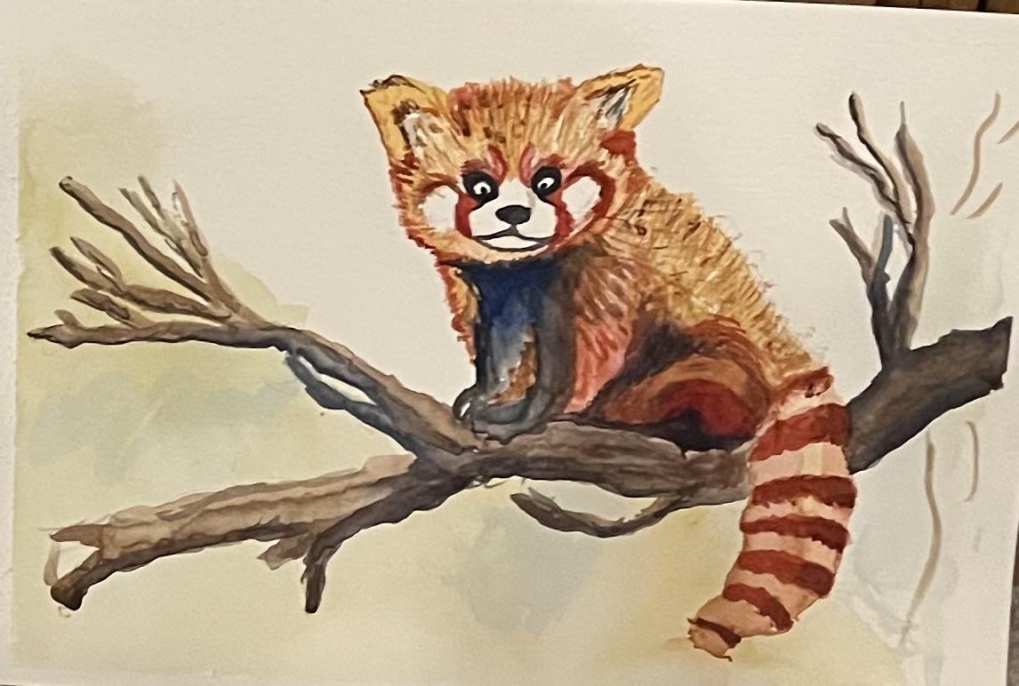 My red panda - image 1 - student project